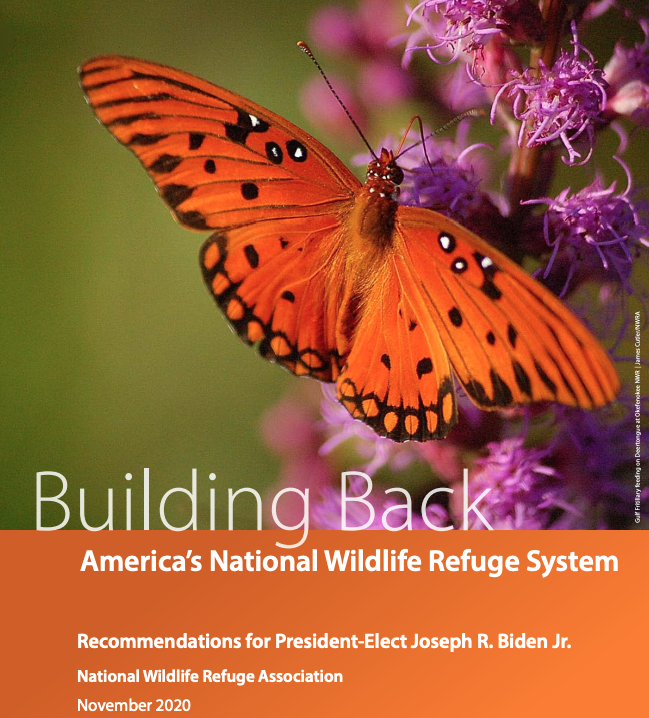 Screen Shot 2021-02-05 at 2.55.00 PM.png