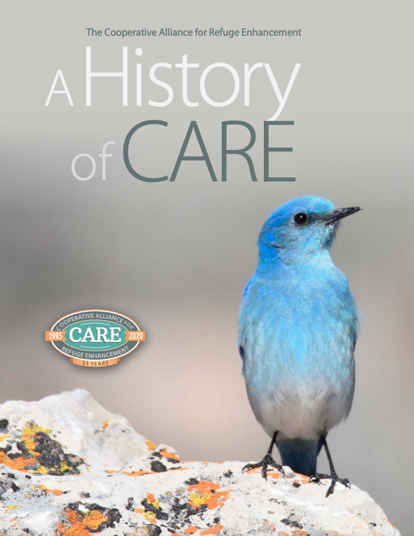 Screen Shot 2021-02-05 at 2.58.56 PM.png