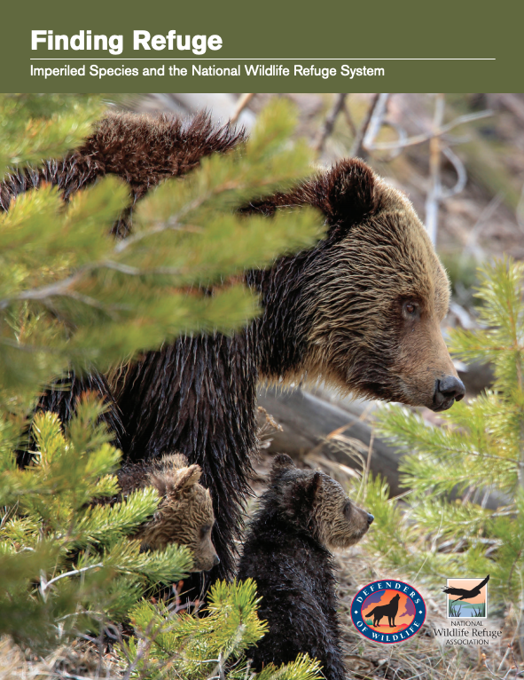 Screen Shot 2021-02-05 at 2.56.32 PM.png