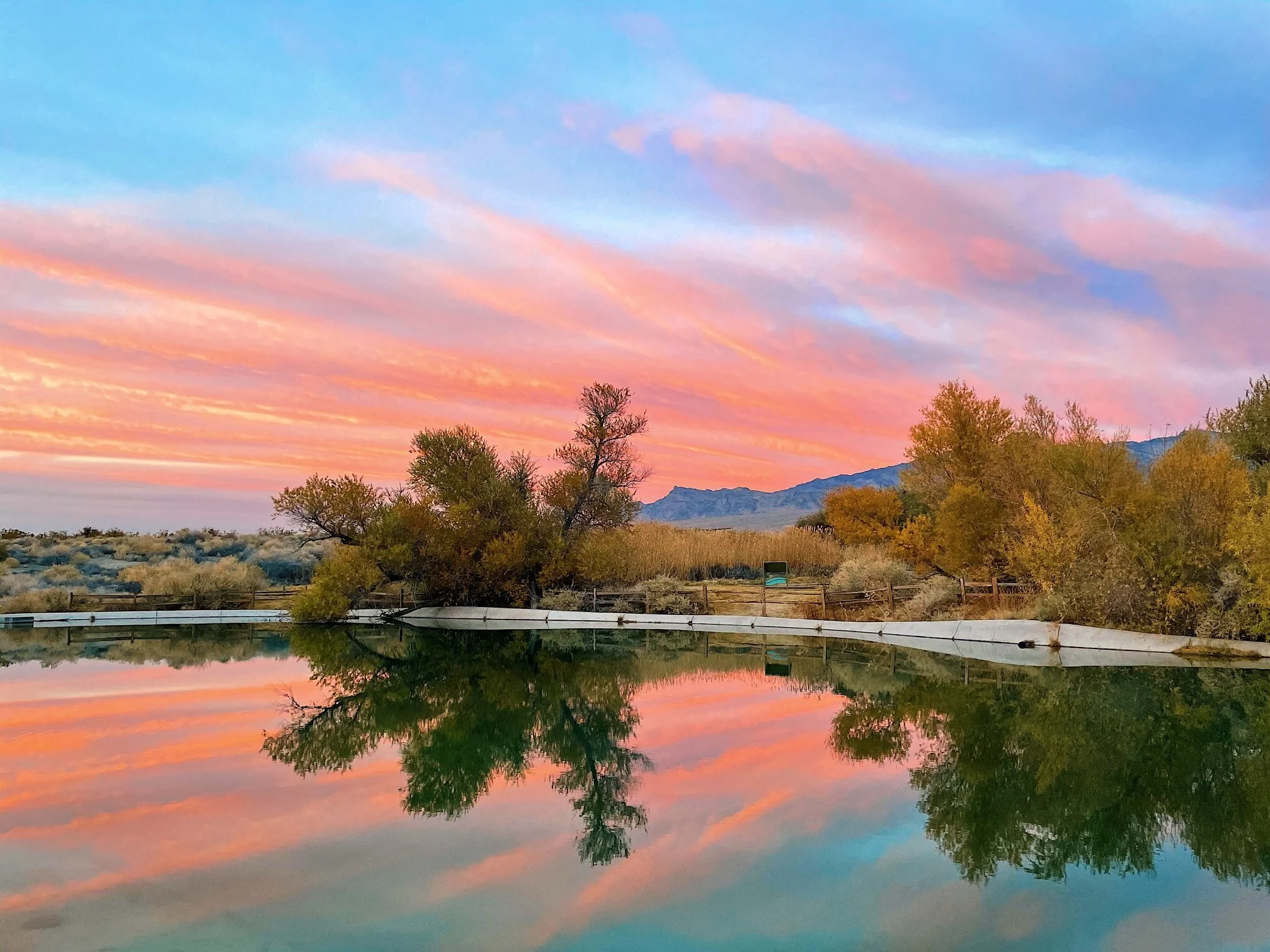 Bill Introduced Would Designate 1.3 million Acres of Wilderness in the Desert National Wildlife Refuge