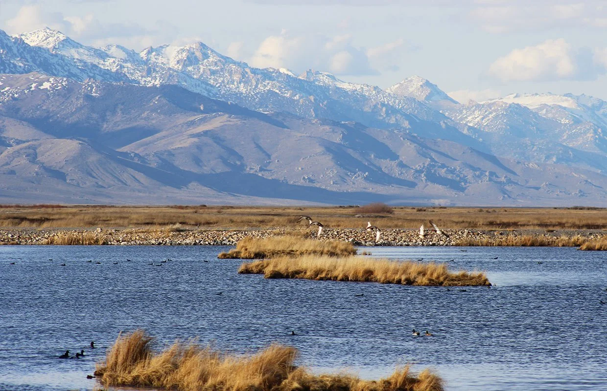 Protections for Ruby Lake National Wildlife Refuge Included in Introduced Bill