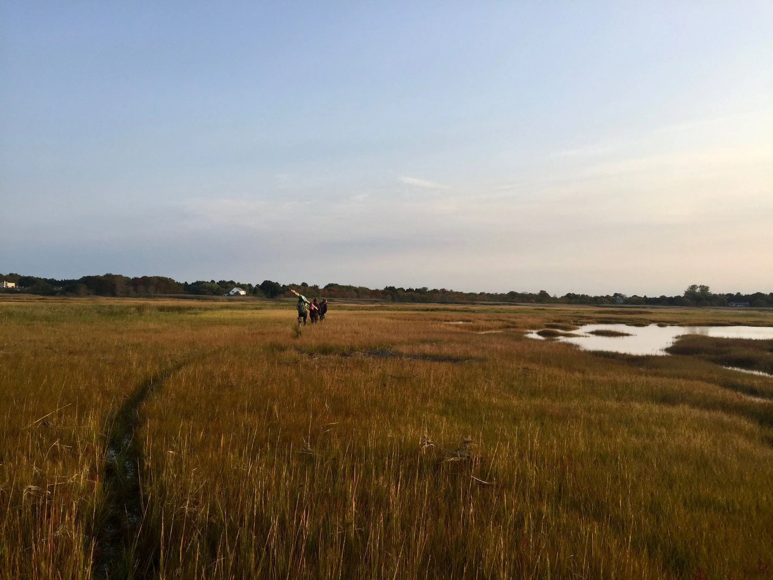 What We Are Looking Forward To On National Wildlife Refuges