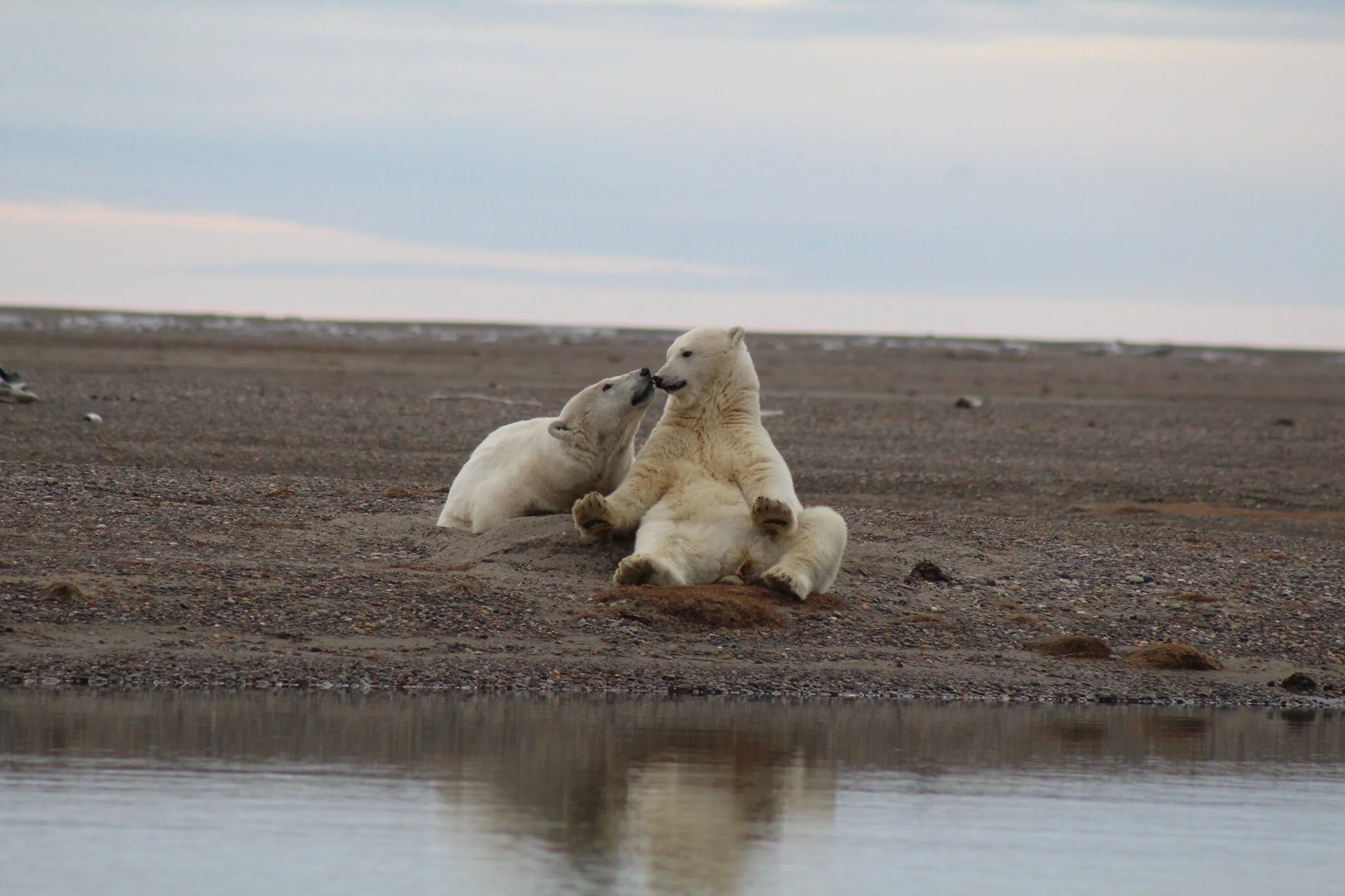 Steve Berendzen Named Refuge Manager of the Year  by the National Wildlife Refuge Association