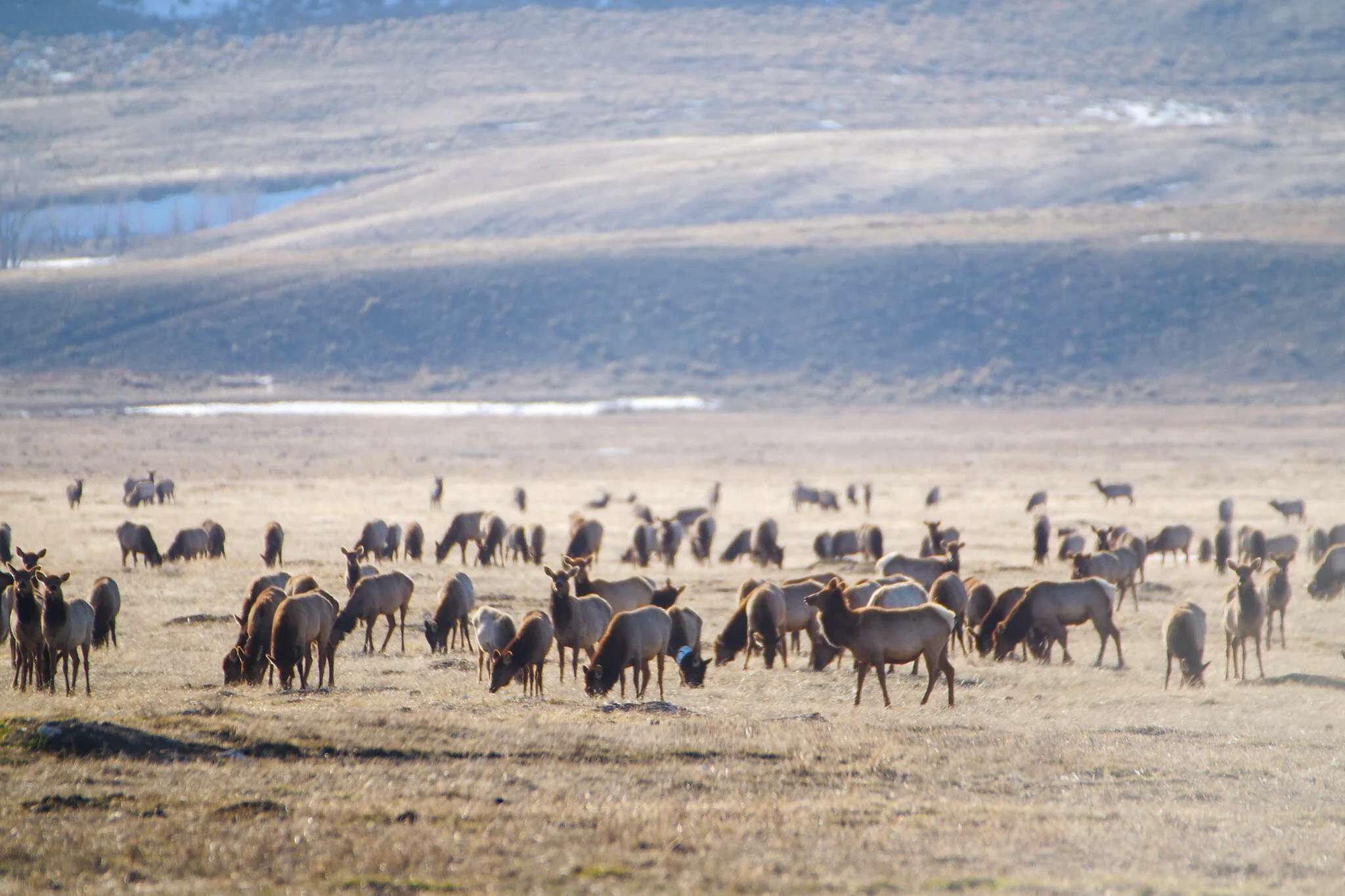 Natalie Fath Named 2021  National Wildlife Refuge System Employee of the Year