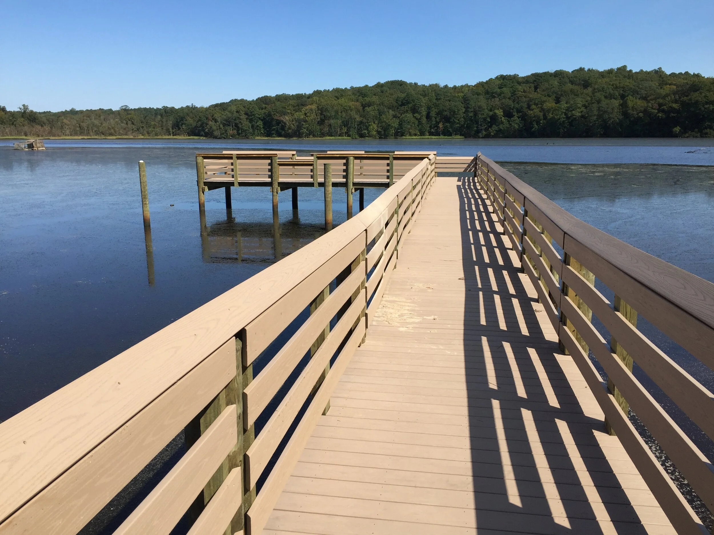 The new pier at Cat Point Creek in Rappahannock River Valley NWR by Steve Colangelo