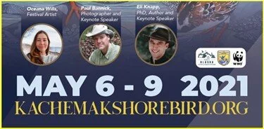 Spring 2021 Kachemak festival announement.jpg