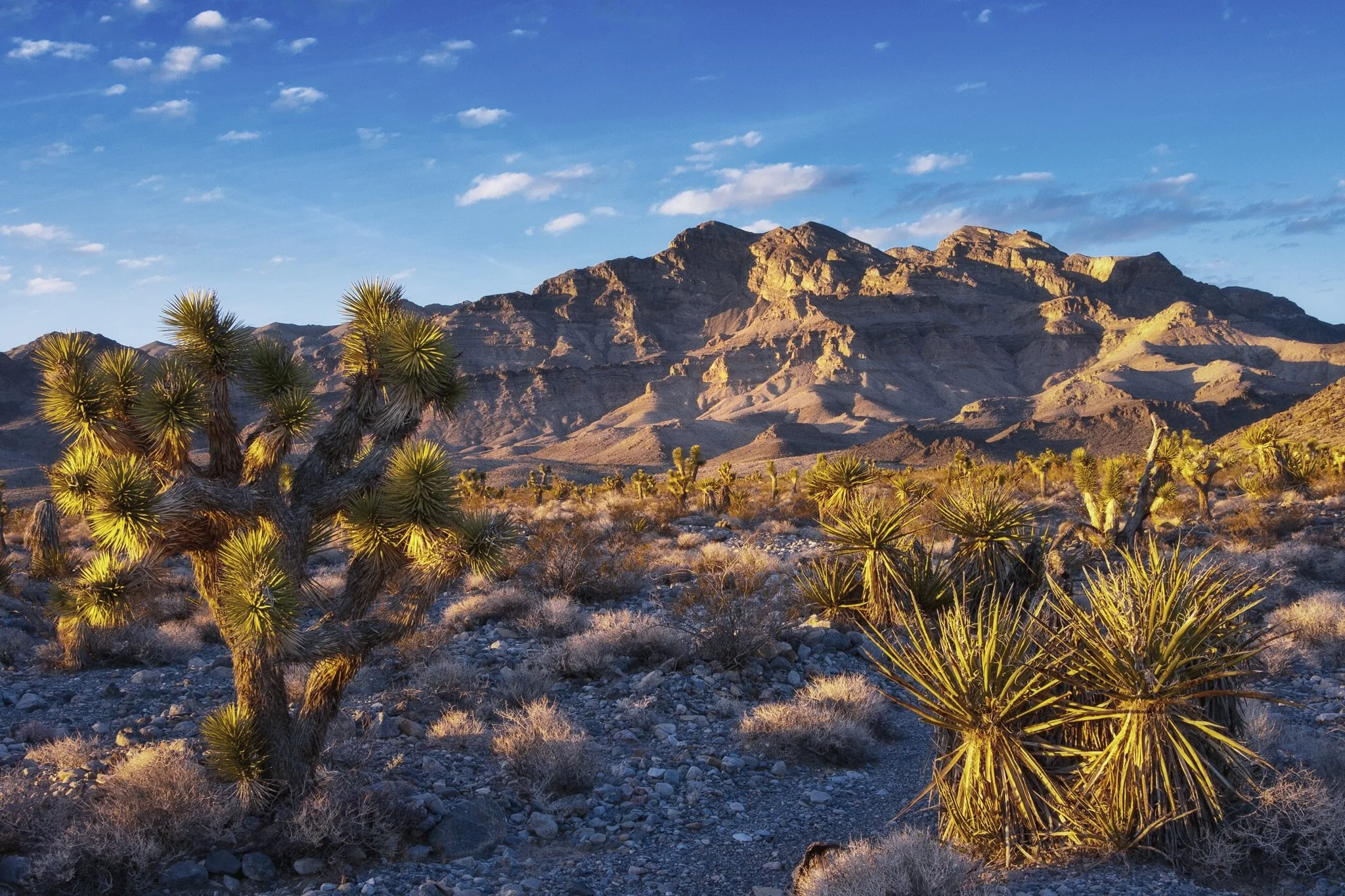 Shaaron Netherton and Jose Witt Named Advocates of the Year  by the National Wildlife Refuge Association