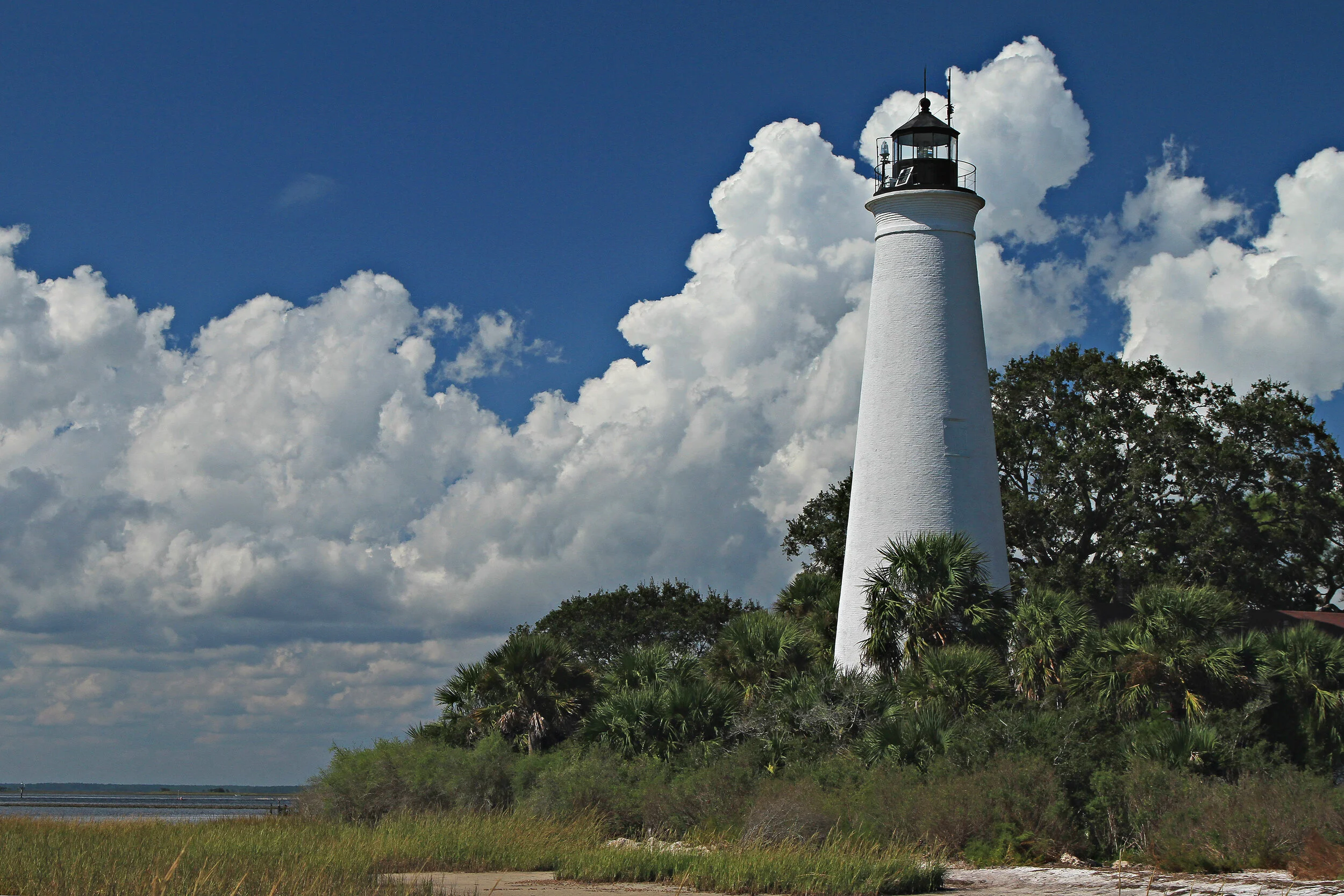 Naturalist Phillip Pollock, Celebrates National Award with St. Marks Friends Group