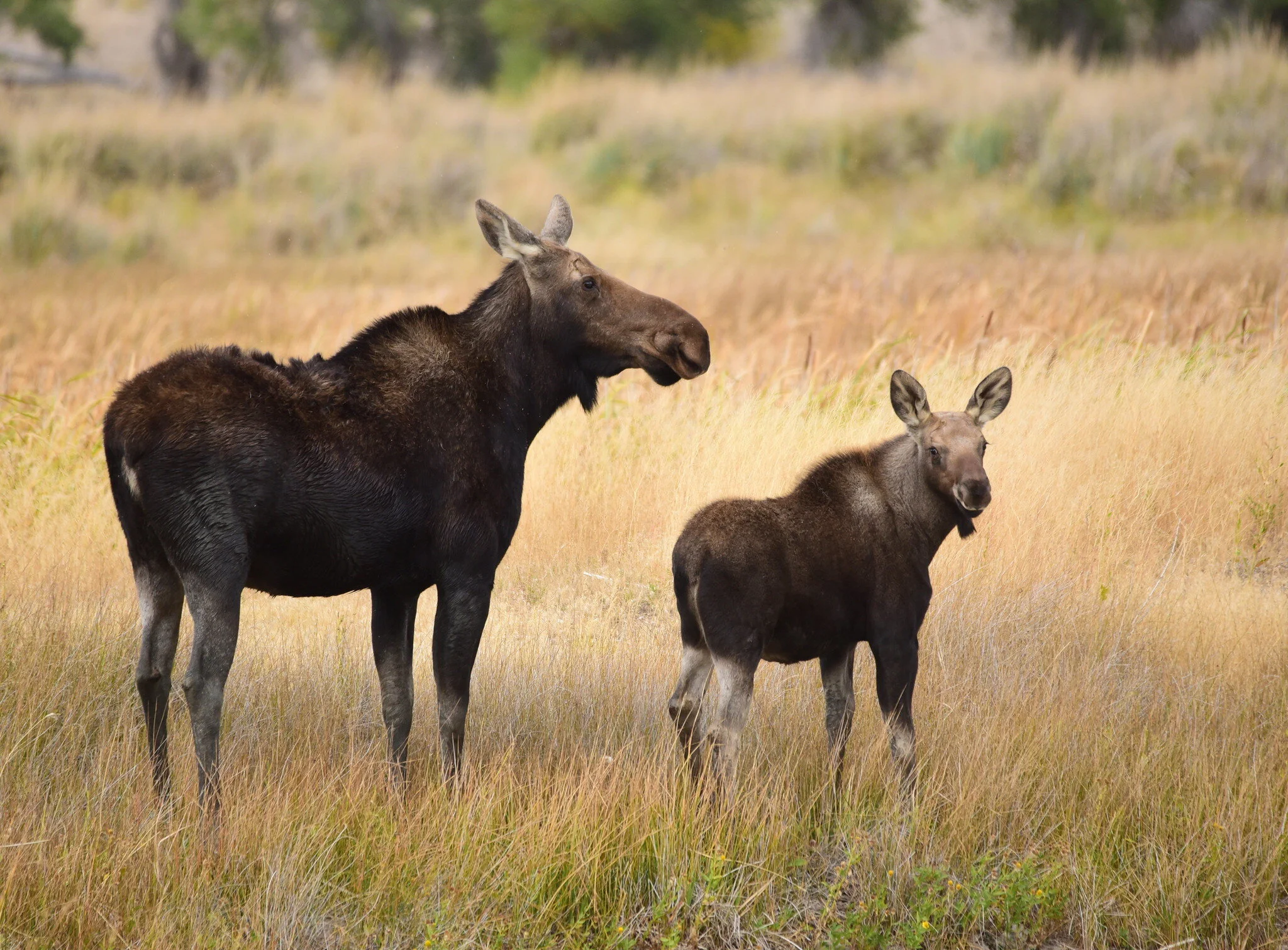 2021 Refuge Awards: Ensuring Safety