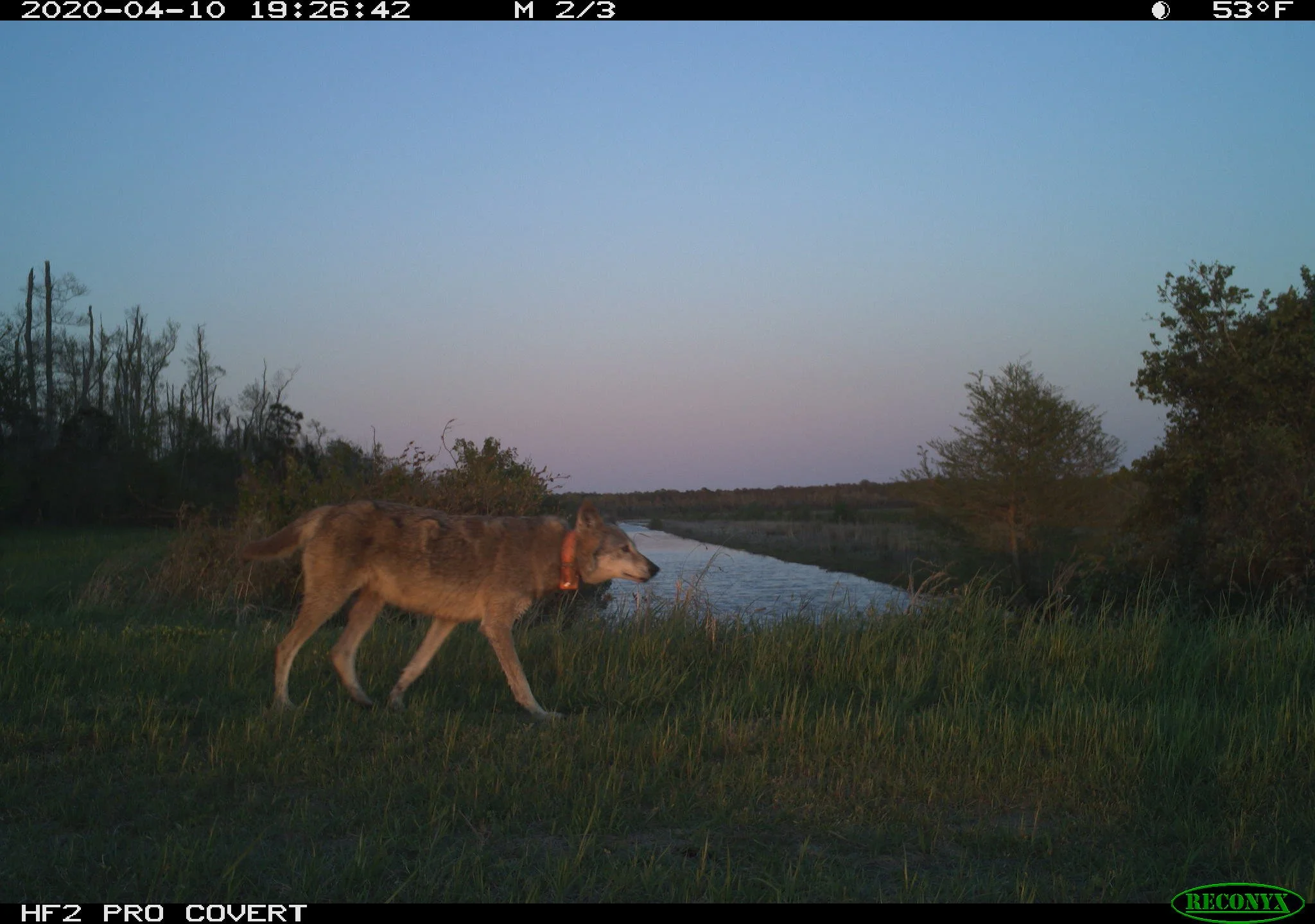 A Busy Year Protecting, Promoting, and Enhancing North Carolina National Wildlife Refuges