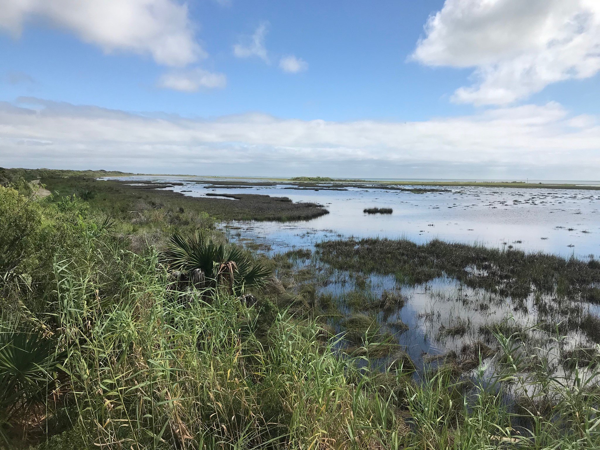Enhancing Texas Gulf Coast National Wildlife Refuges &amp; The Lands Beyond Their Boundaries