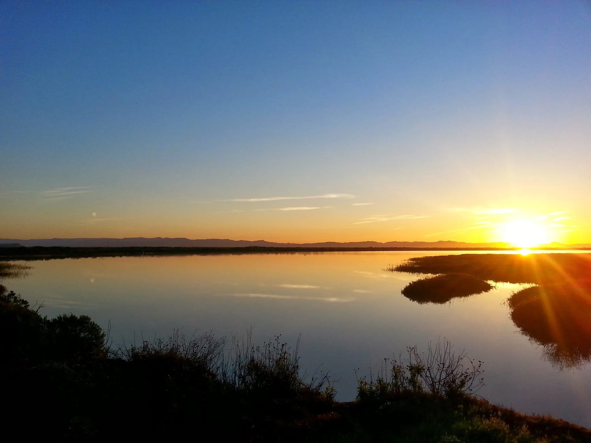 Meet The National Wildlife Refuge Association Board—&nbsp;Rebecca Rubin