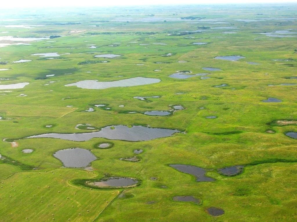 Meet The National Wildlife Refuge Association Board—&nbsp;Wayne Hubbard