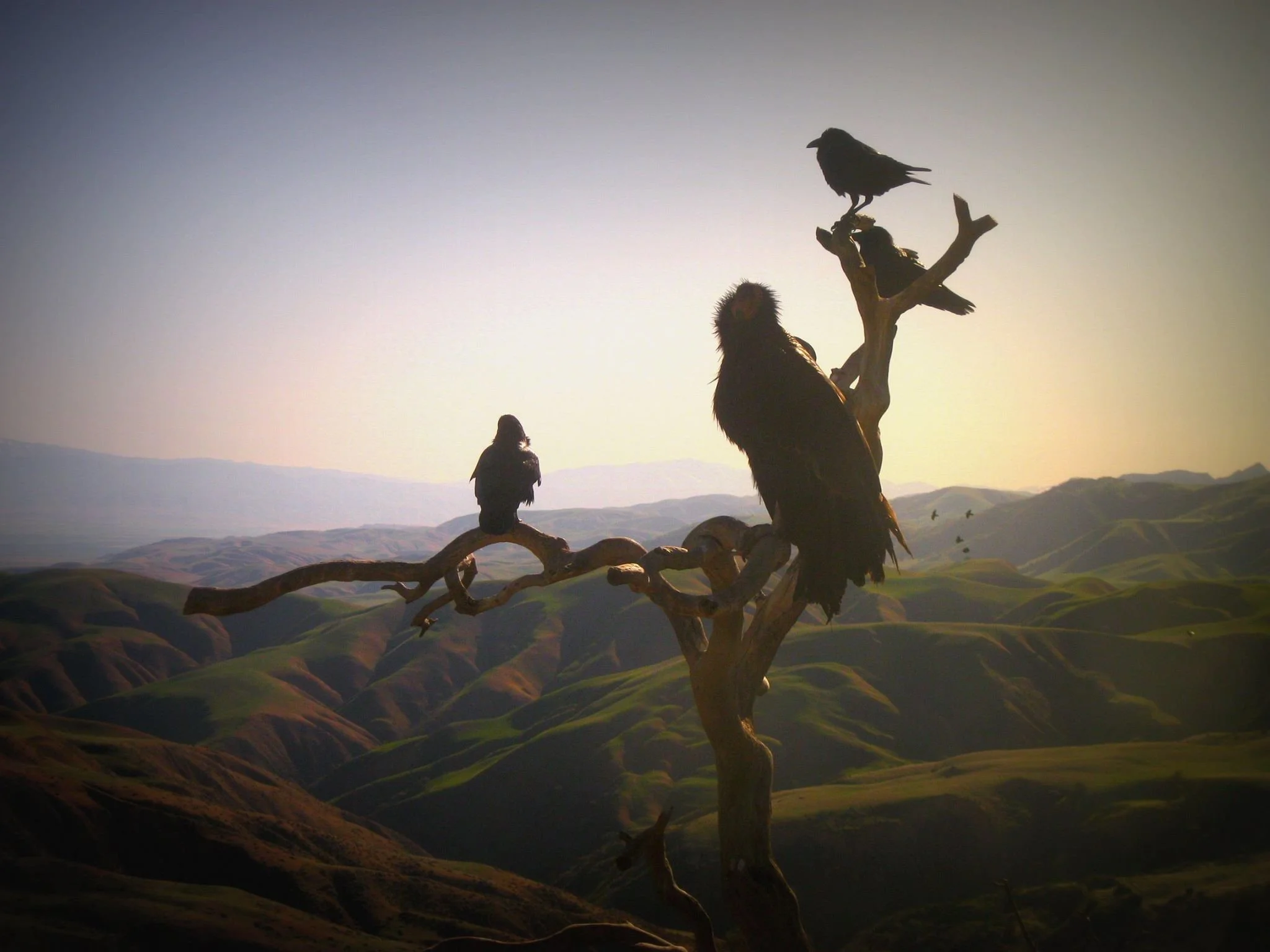 Bitter Creek National Wildlife Refuge Takeover — Young Ambassadors