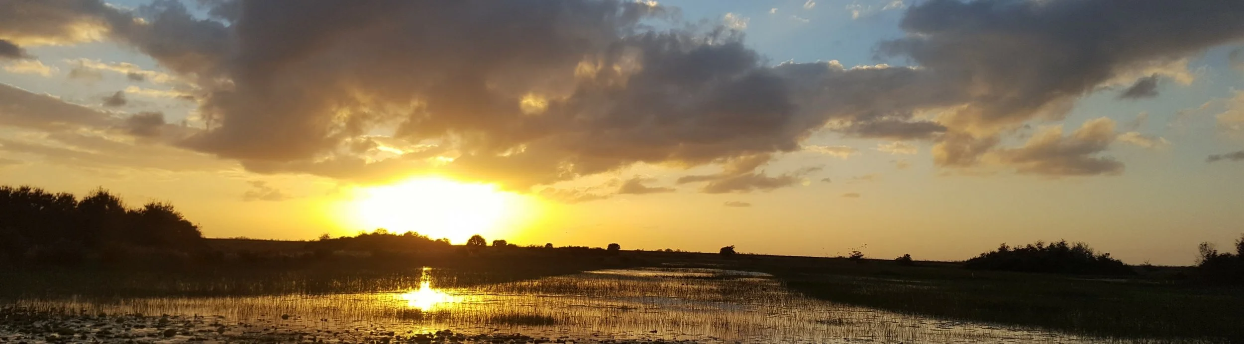 Elizabeth Figueroa Named South Florida Urban Specialist at National Wildlife Refuge Association
