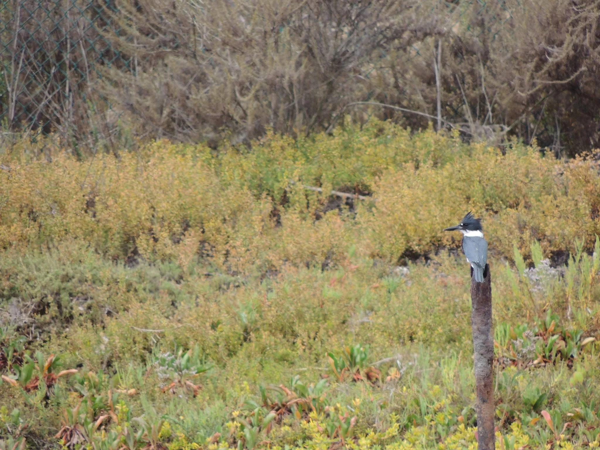 Conservation has a ‘Friend’ in Southern California
