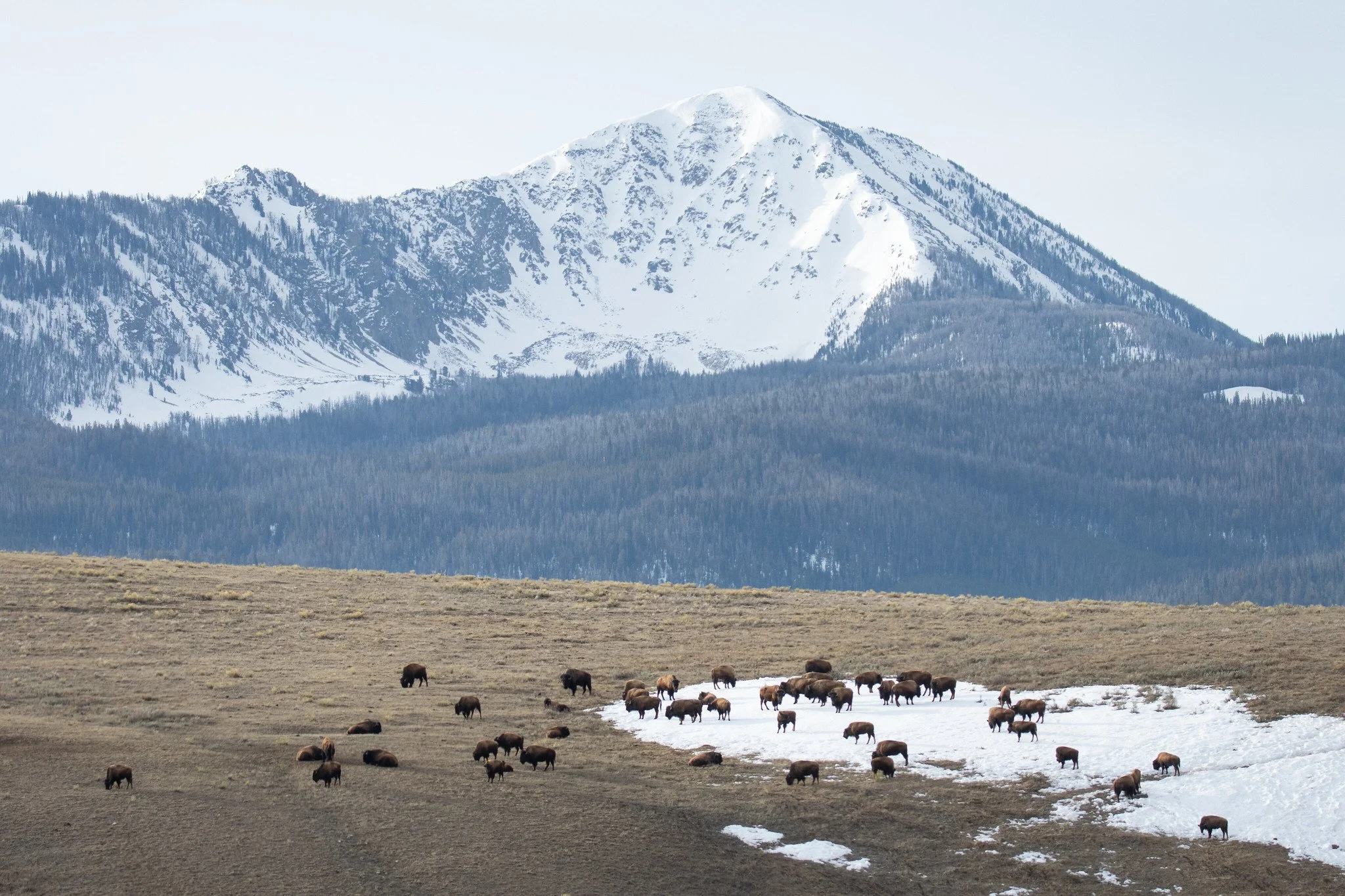 Celebrate International Mountain Day With a Visit to a National Wildlife Refuge!