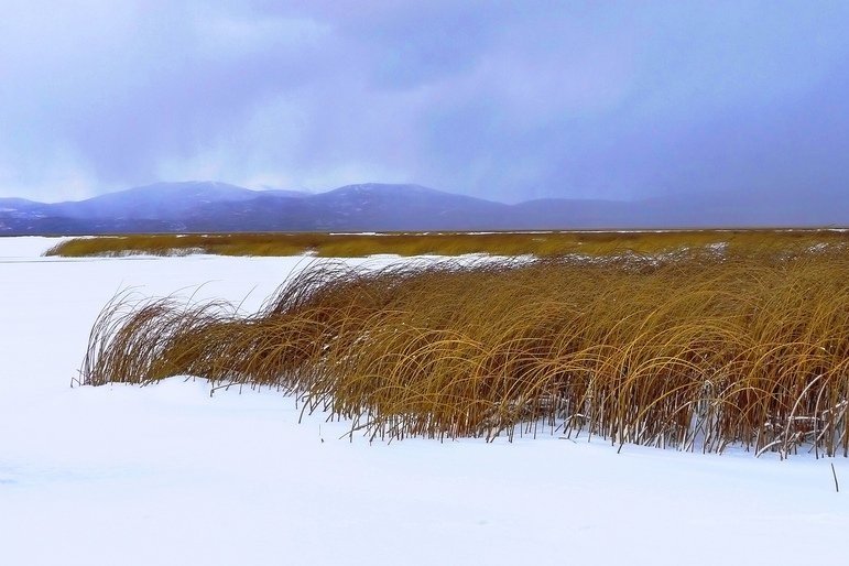 Snow approaches grasslands at Red Rock Lakes National Wildlife Refuge, MT  | Eron Clark/USFWS