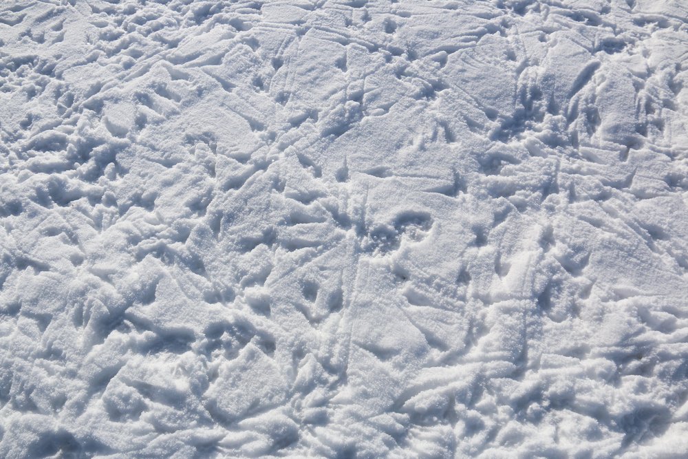 The tracks of ravens, magpies, and coyotes crisscross on the snow at the National Elk Refuge, WY |Kari Cieszkiewicz/USFWS