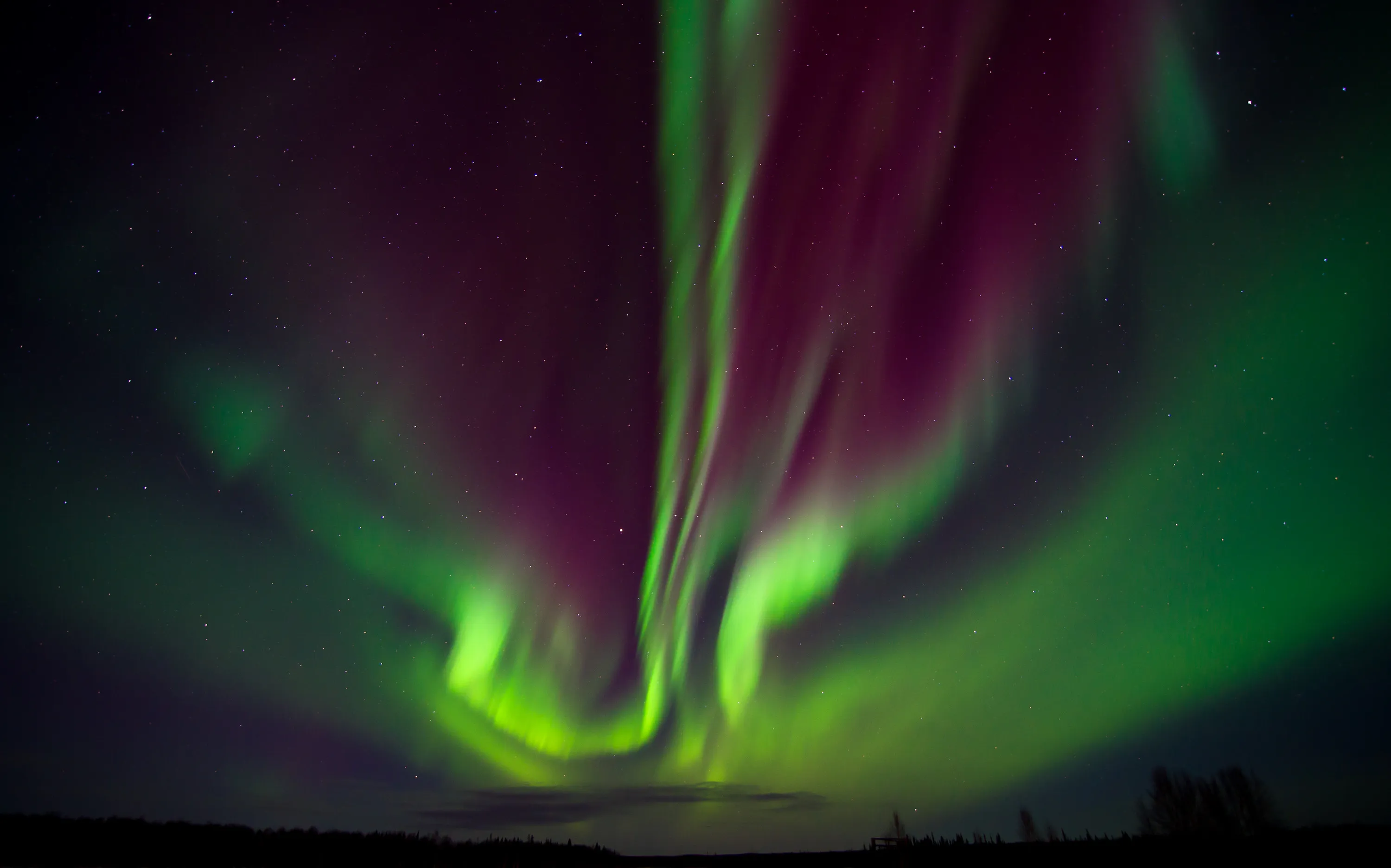 Bands of green and purple light up the night sky of stars over Koyukuk National Wildlife Refuge, AK | Keith Ramos/USFWS.