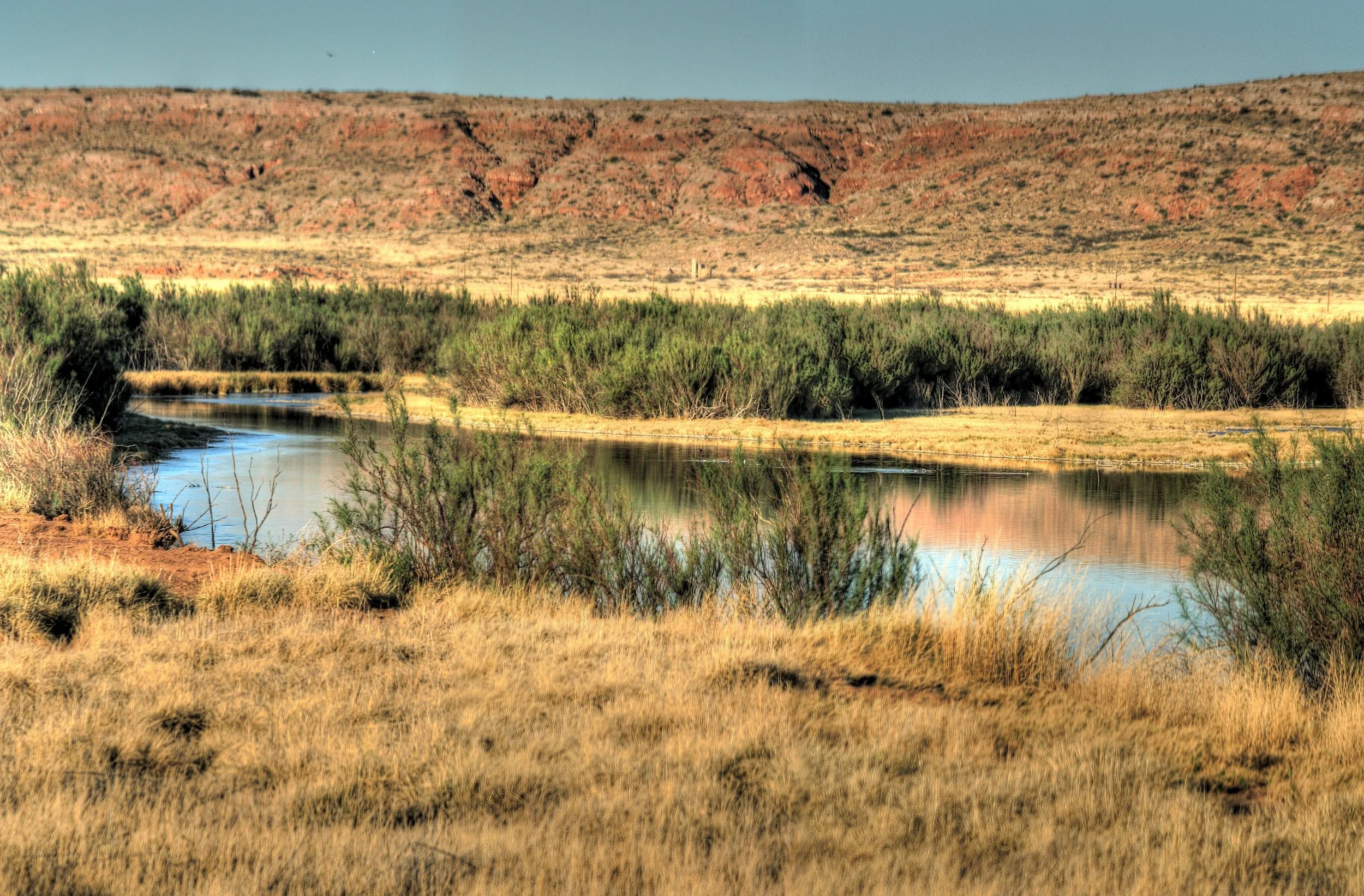 Marianne Kelso Lands in Roswell To Lead Conservation Work At Bitter Lake National Wildlife Refuge