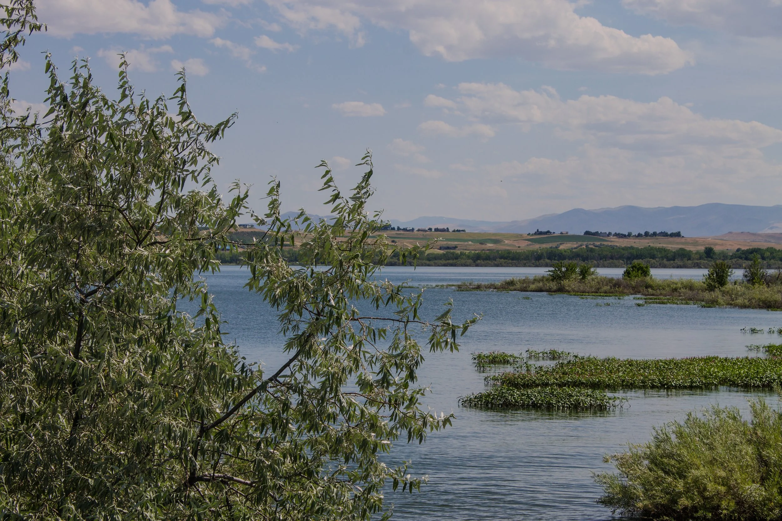 Conservation Leader Lynn Scarlett Appointed Board Chair of National Wildlife Refuge Association