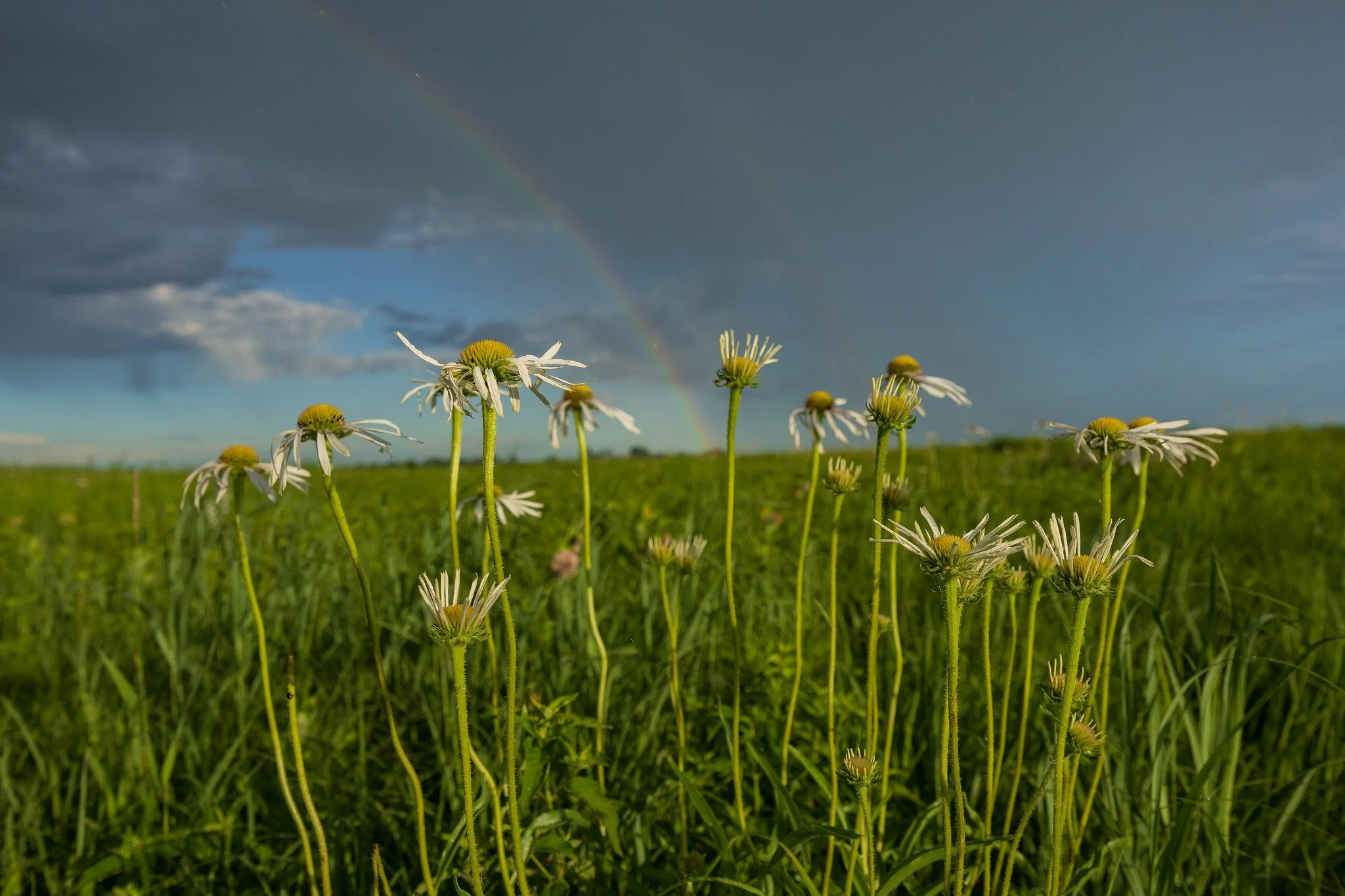 House Funding Bill Chips Away at National Wildlife Refuges with Deep Cuts & Damaging Riders