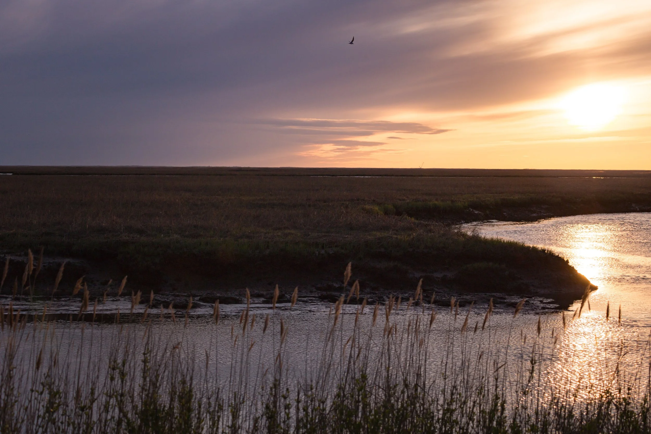 Announcing the 2025 National Wildlife Refuge Awards