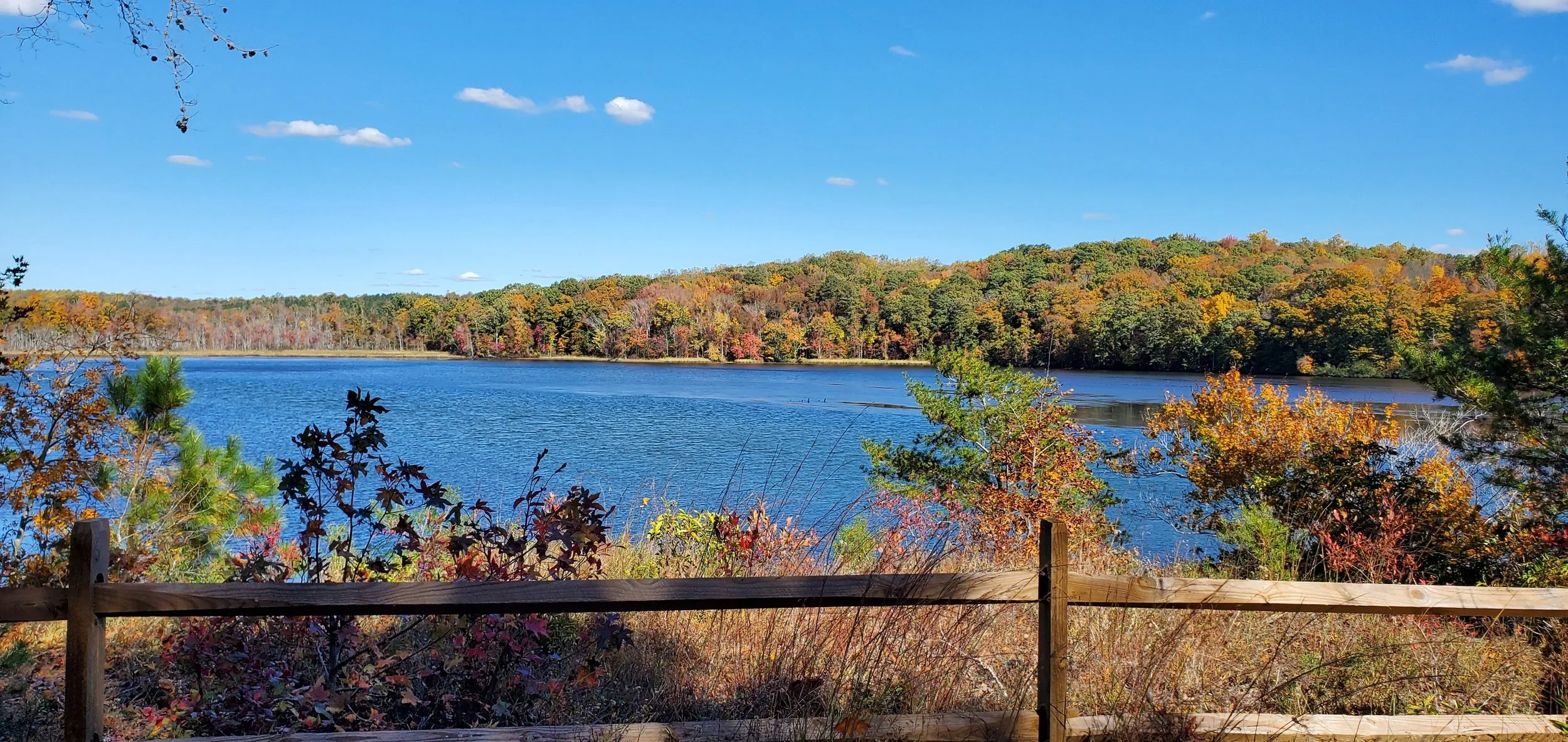 Rappahannock Wildlife Refuge Friends Named Recipient of the 2025 Molly Krival Award – Refuge Friends Group of the Year
