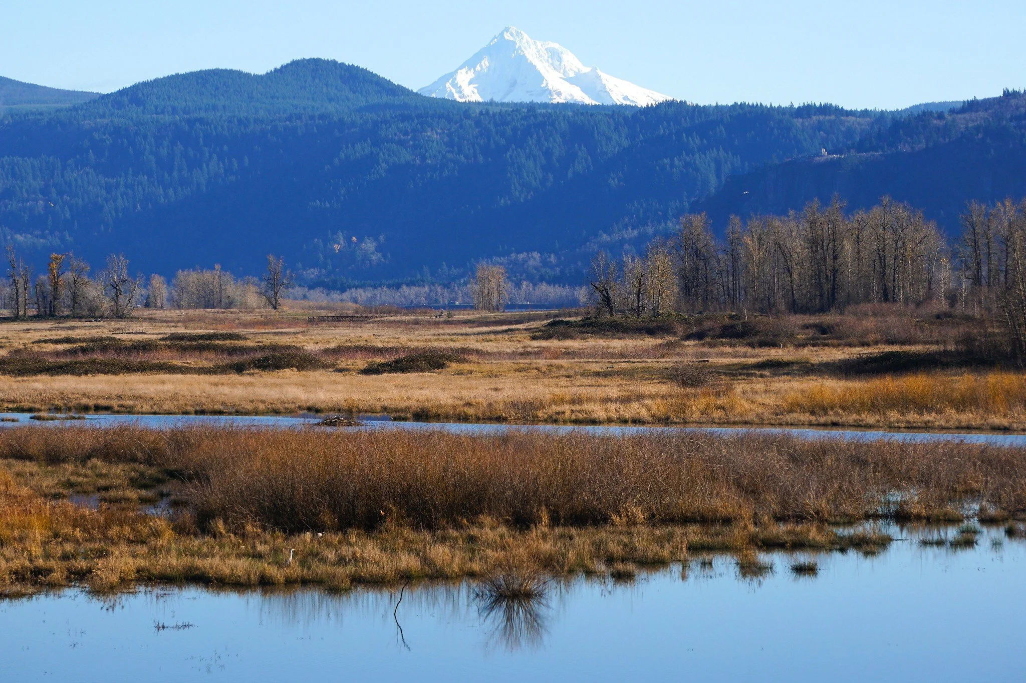 Refuge Association Praises Bipartisan Deal Protecting Wildlife Refuges from Deep Cuts