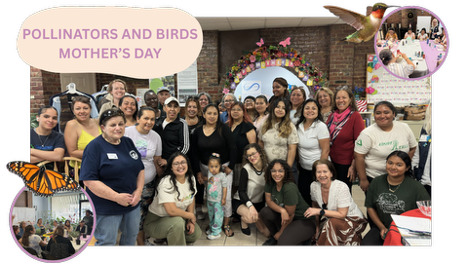 Pollinators and Birds - Mother’s Day