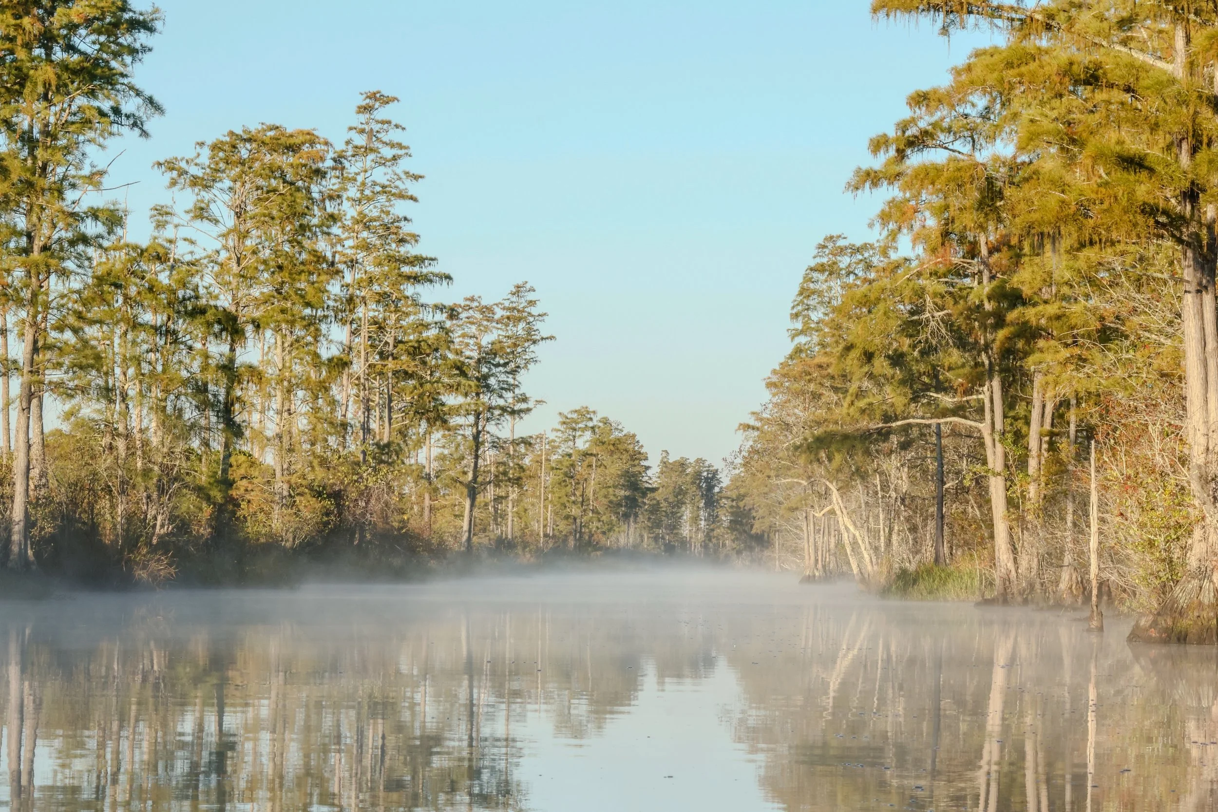 National Wildlife Refuge Association Celebrates Okefenokee National Wildlife Refuge's UNESCO World Heritage Designation