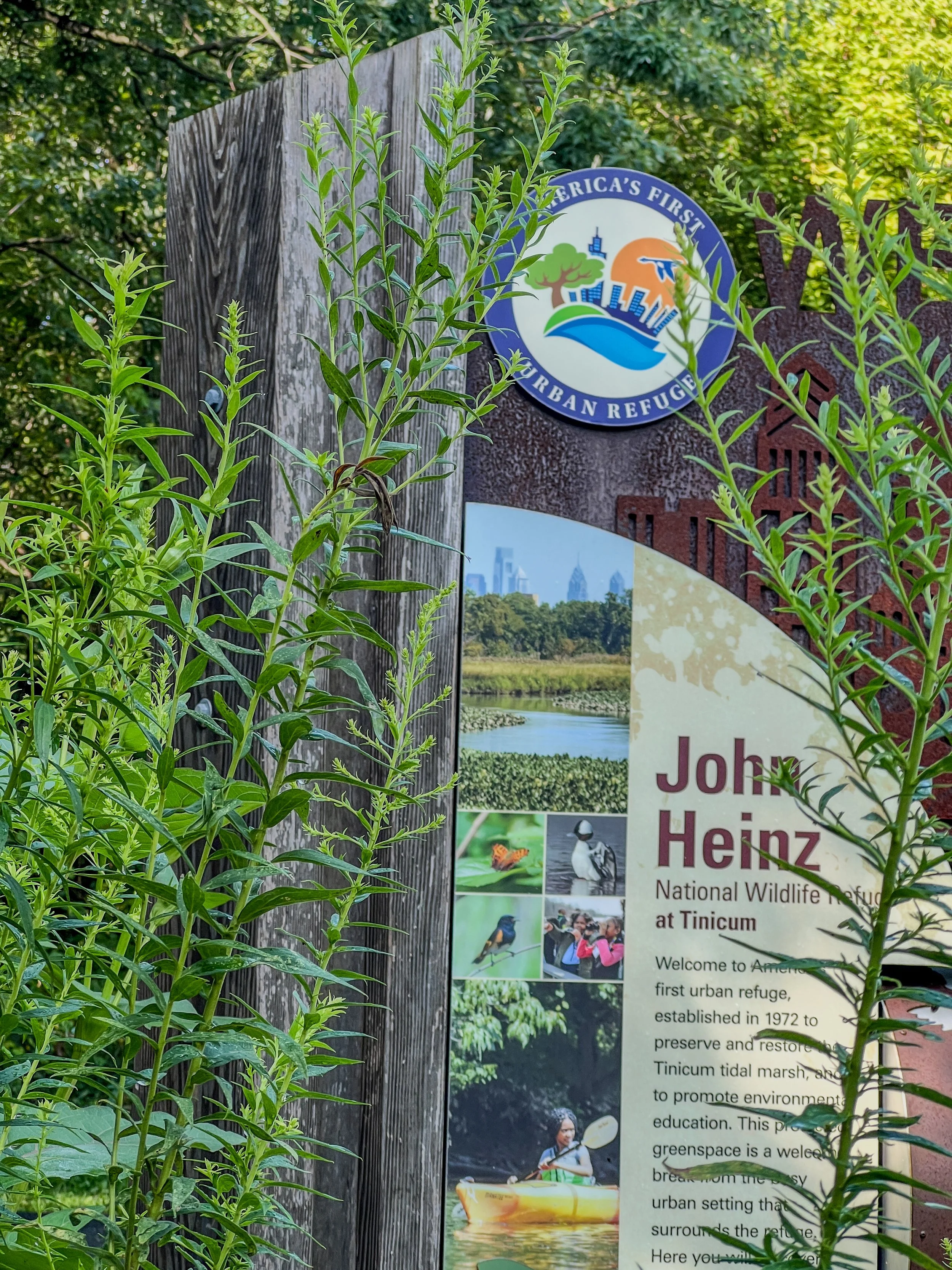 Friends of Heinz Refuge Named 2026 O'Brien Prize For Refuge Friends Winner