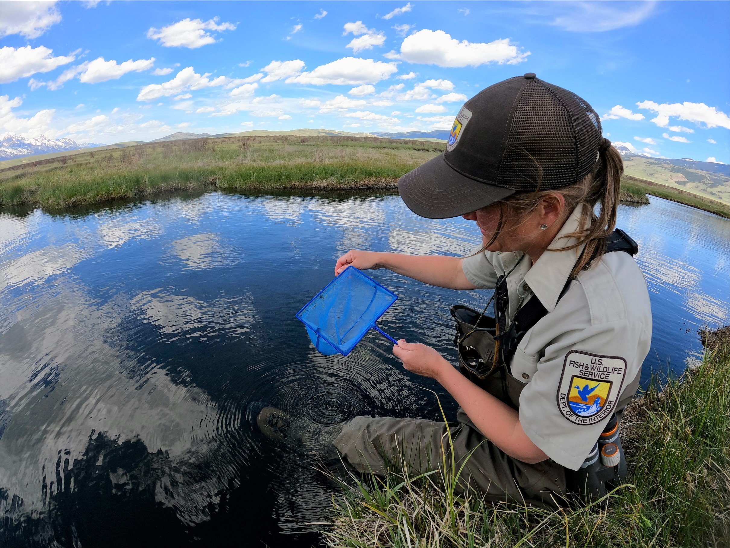 The Refuge Staffing Crisis The National Wildlife Refuge Association