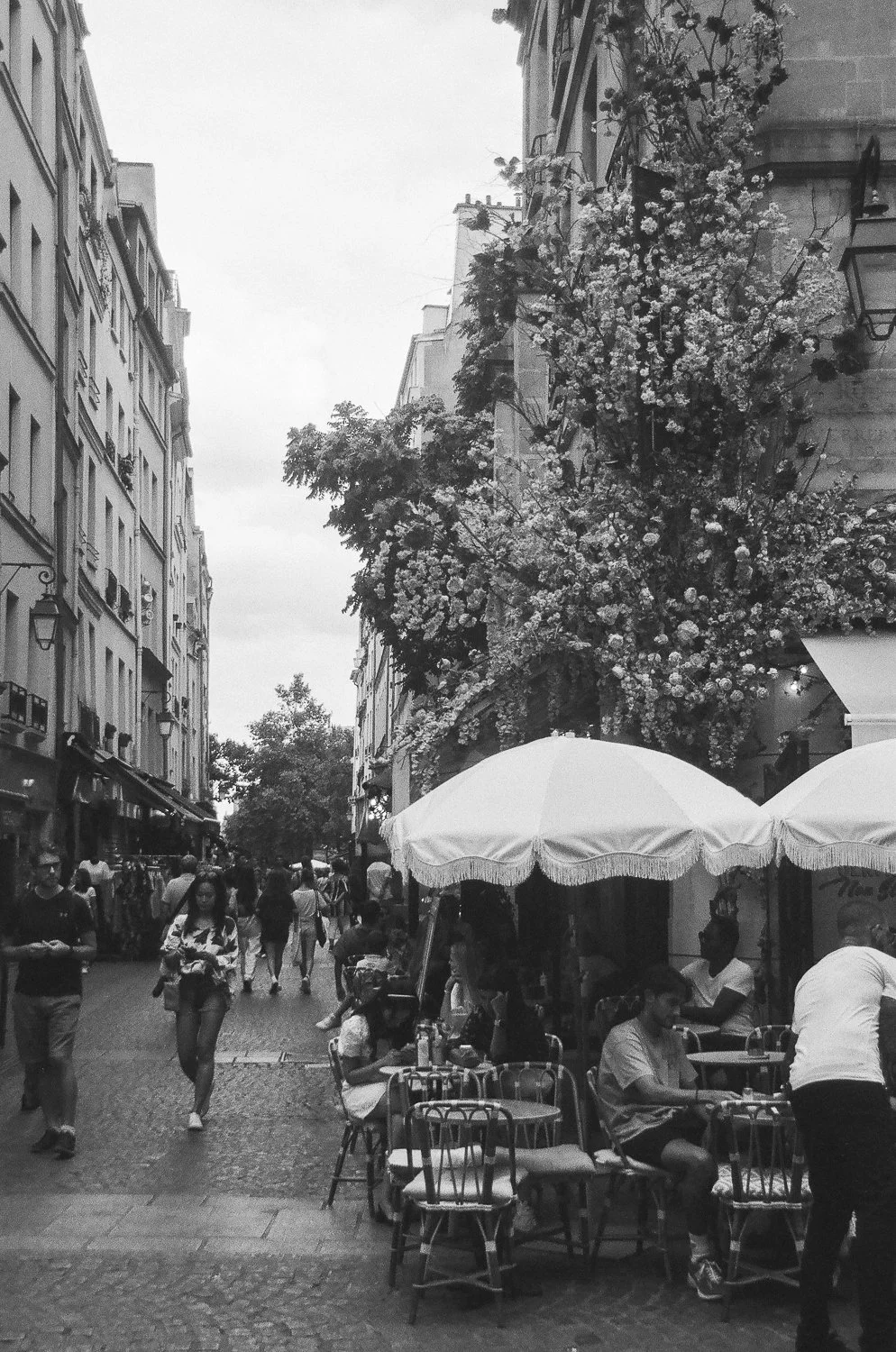 Paris35mm-DanielBell-9.jpg