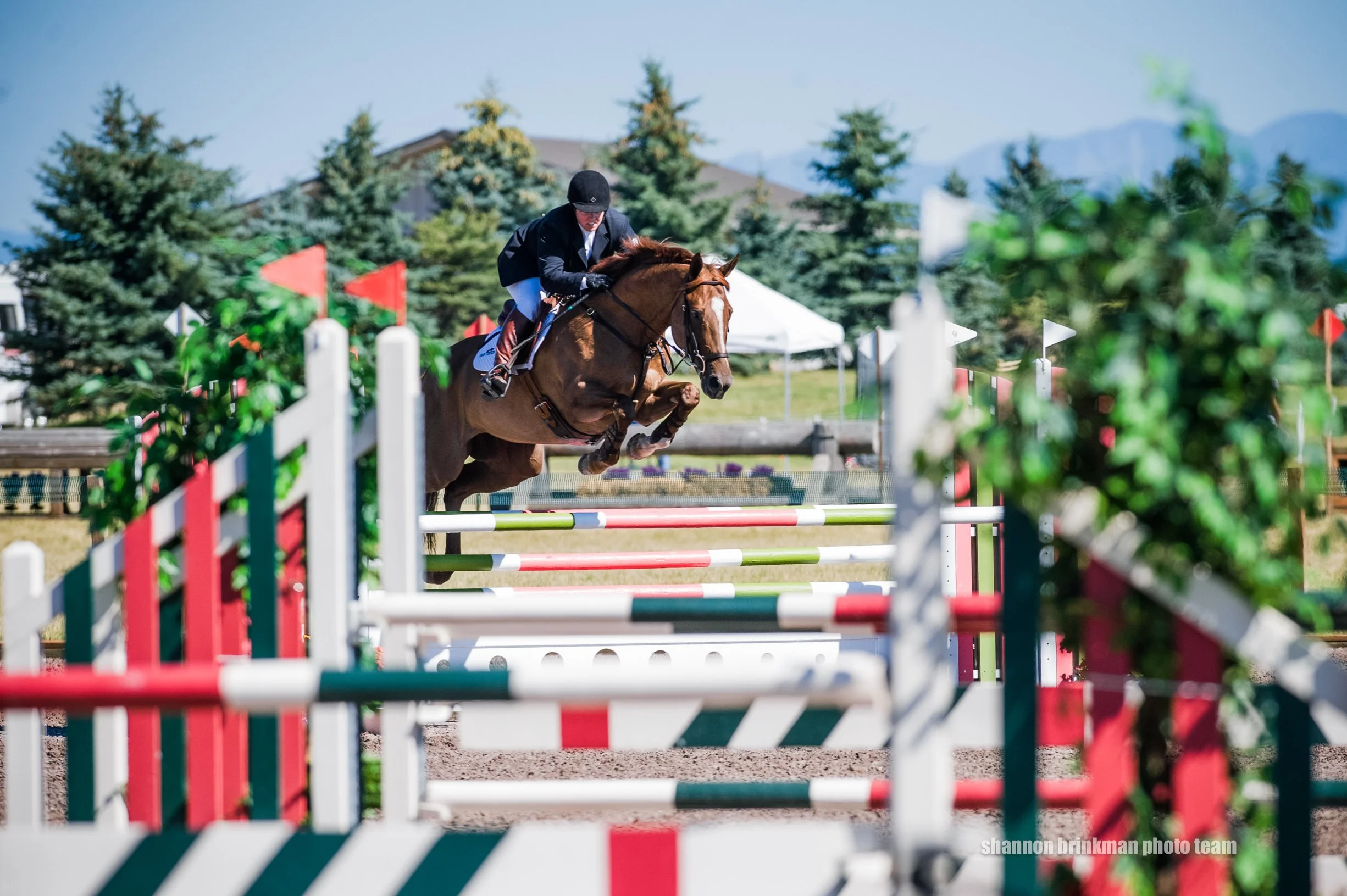 A rider in black attire and a helmet riding a brown horse over a colorful jump at an outdoor equestrian competition during daytime.