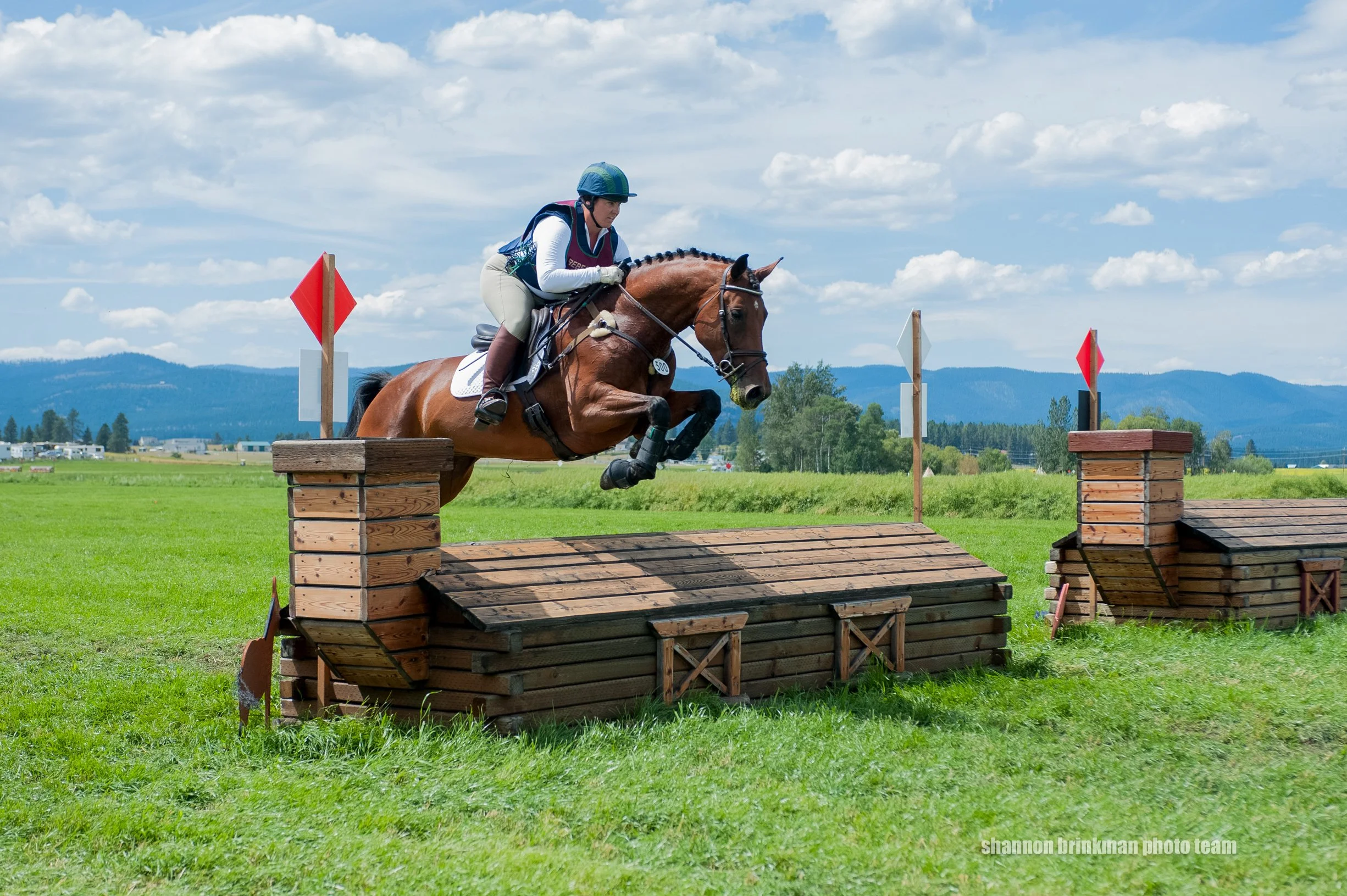 A rider guides a horse over a wooden jump during an equestrian event on a grassy field, with a landscape of mountains and blue sky in the background.