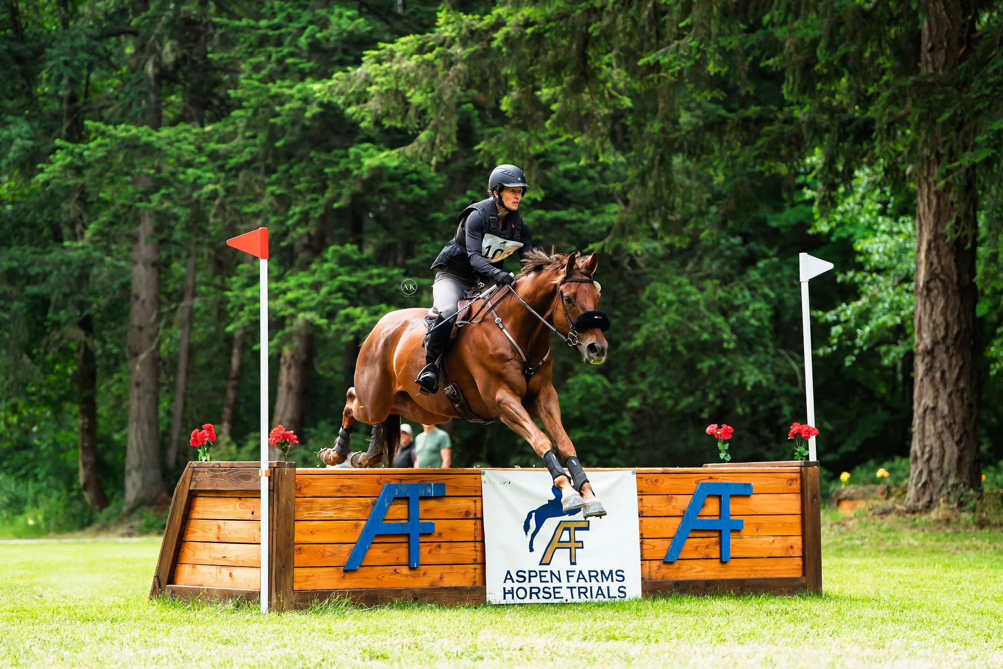 A rider and a horse jumping over a wooden obstacle during a horse trial event at Aspen Farms, with a forest in the background.