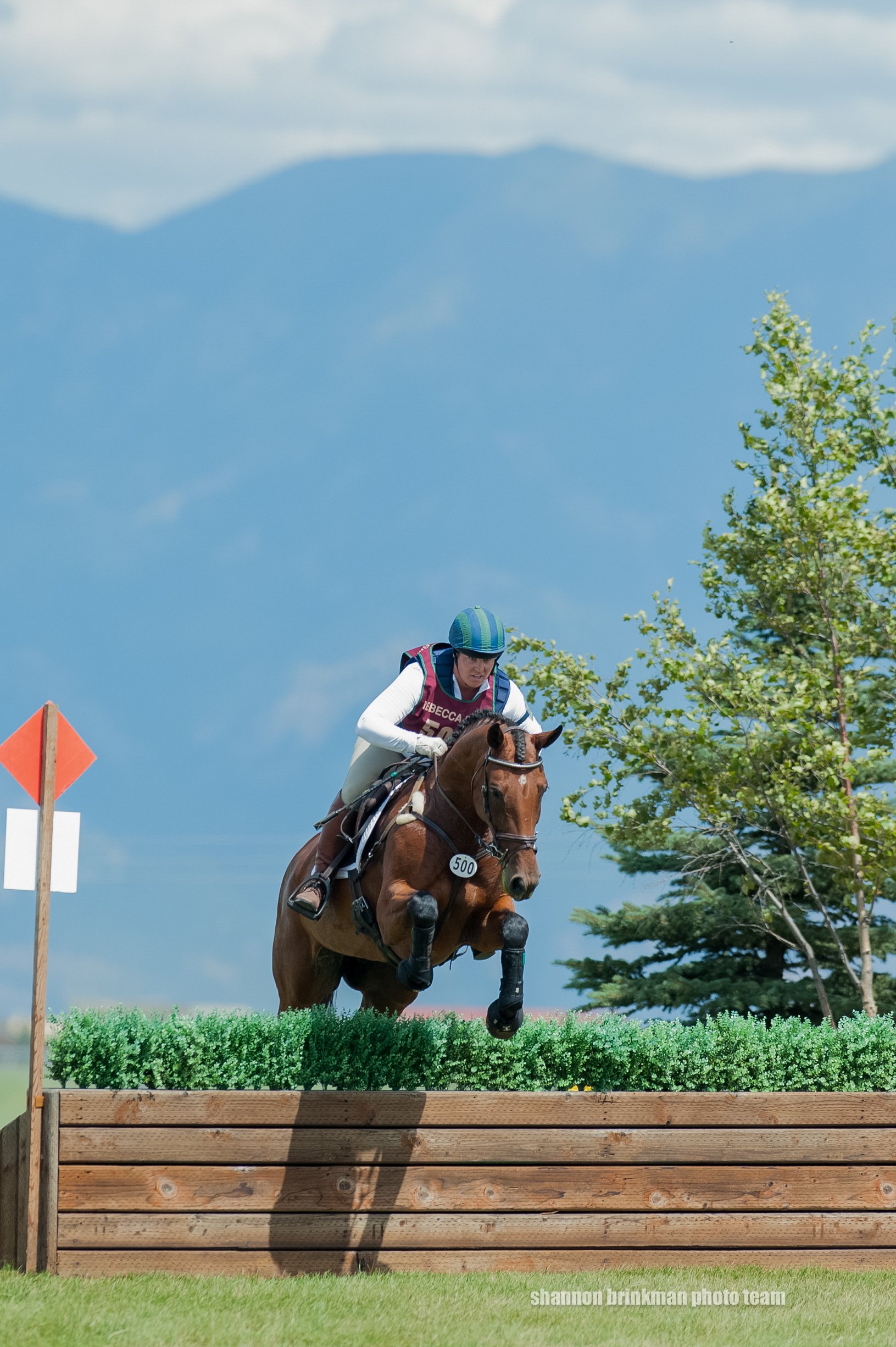 A horse and rider competing in a cross-country jumping event, jumping over a wooden obstacle surrounded by greenery against a backdrop of mountains and blue sky.