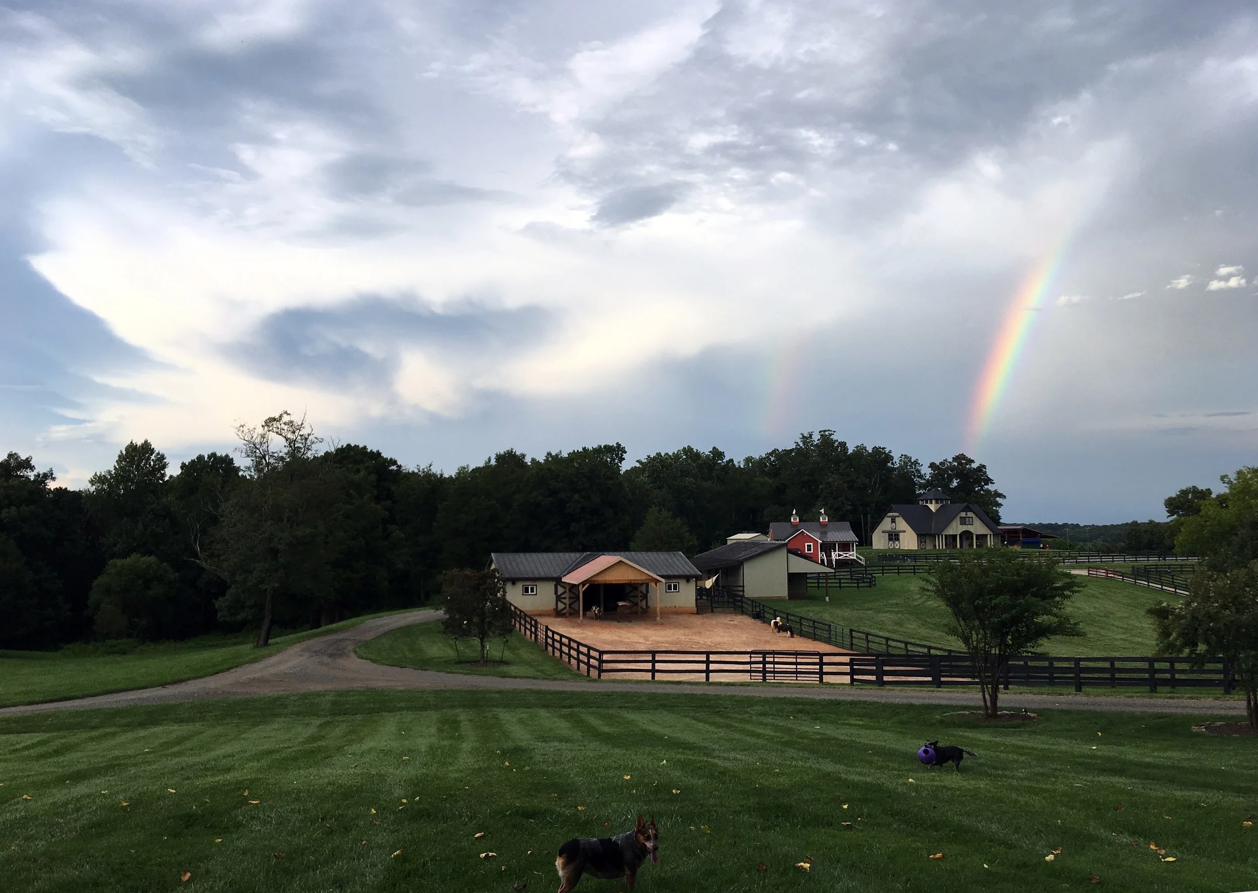 rainbow.jpg