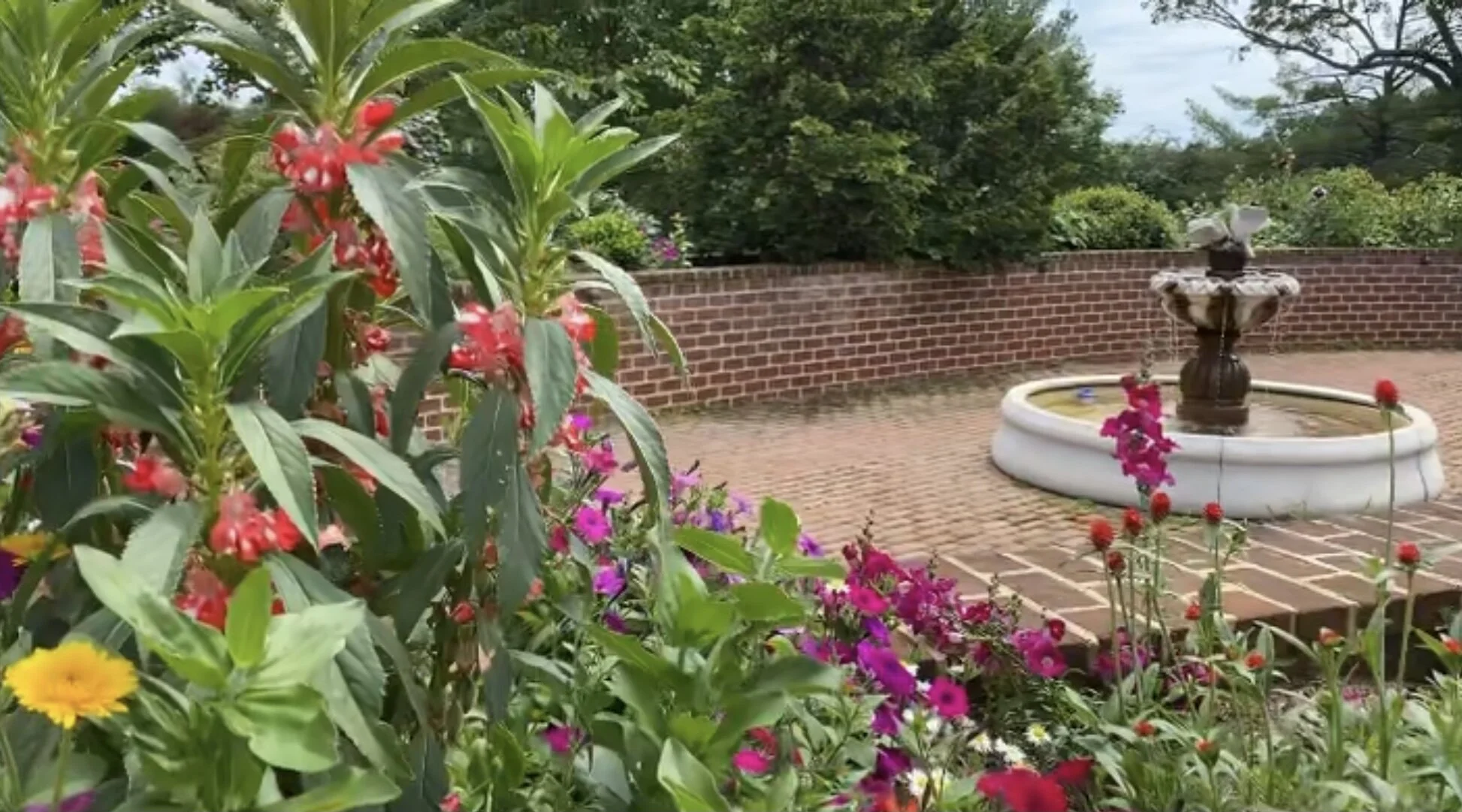 Summertime is in full swing at Edgewood Miller Farm! 