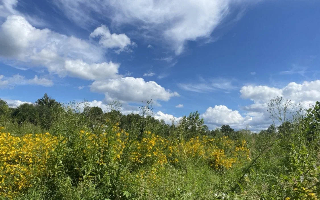 Summer '22 at Edgewood Miller Farm