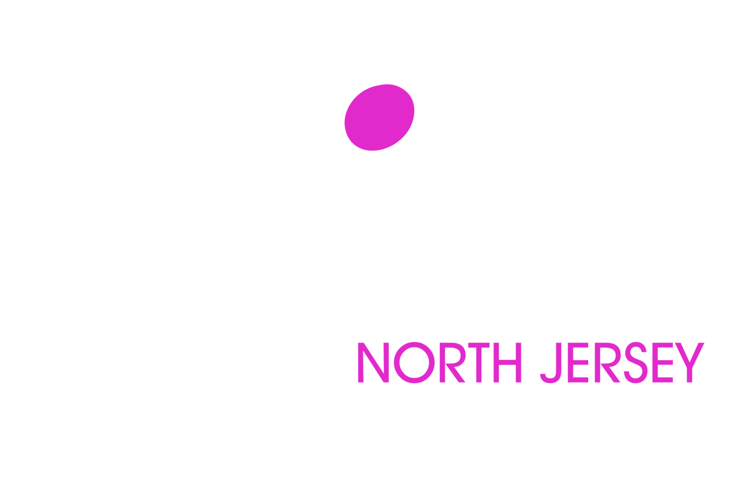 North Jersey Entertainment | North Jersey DJs | Morris County DJs
