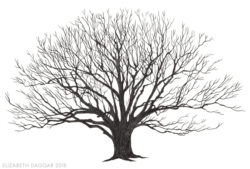 Mighty.Red.Oak_01.jpg