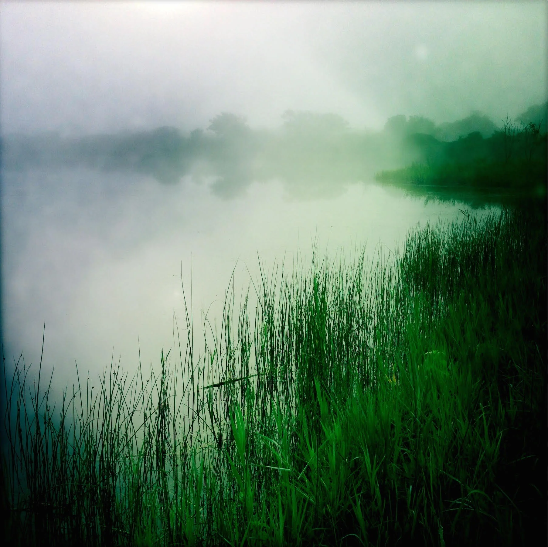 Hook Pond, East Hampton