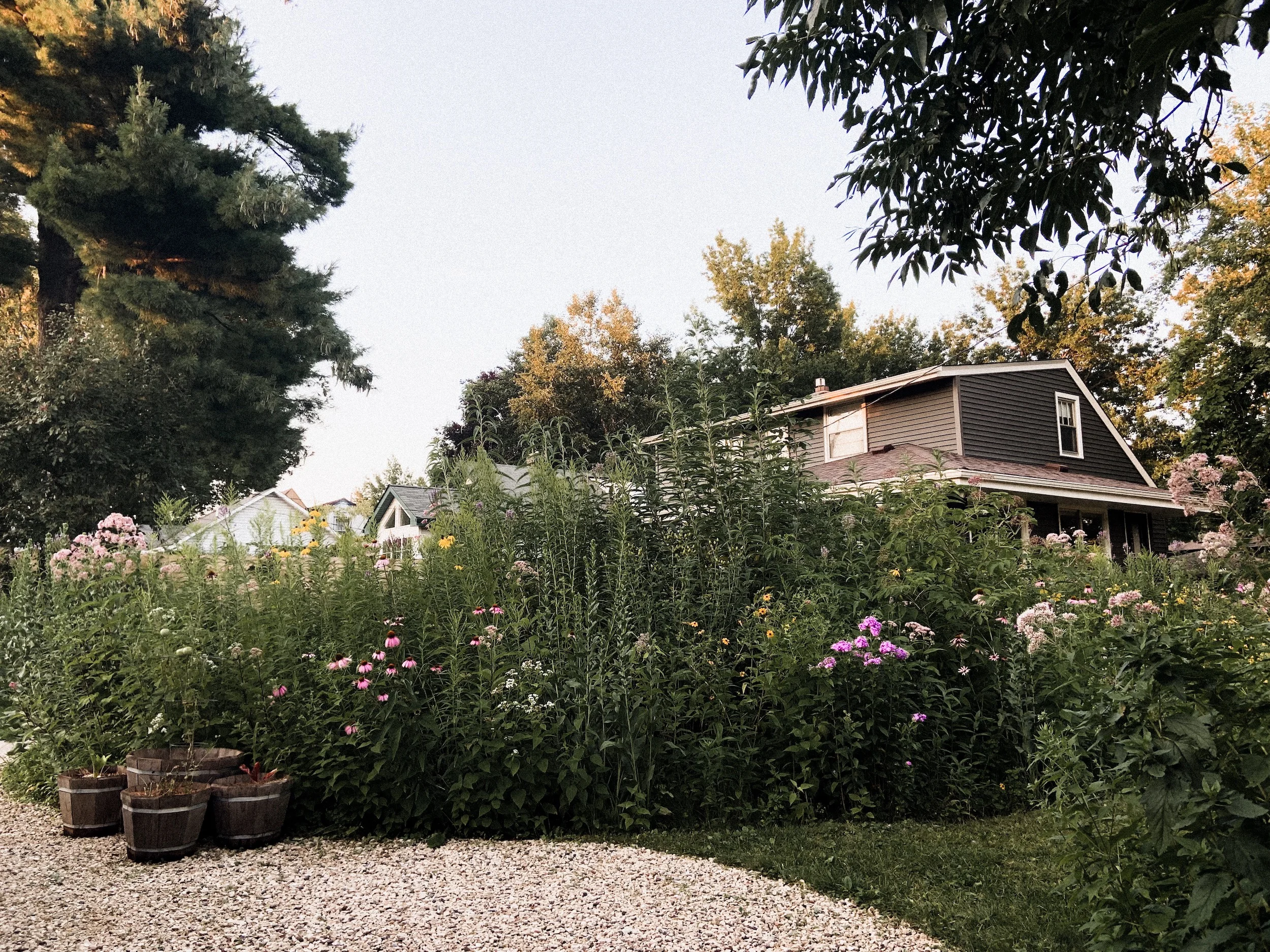 IMG_7152 _SmallBanner.JPG