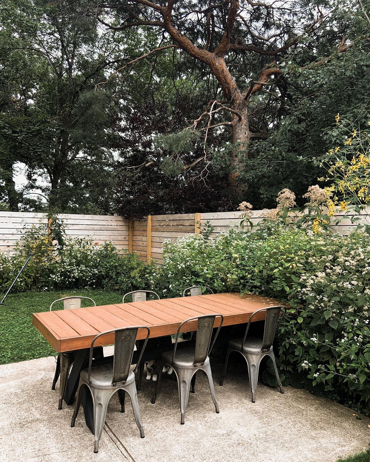 This corner of our yard has seen a lot of changes in the past year. ( ➡️ swipe to see what we mean + a video of the carnage 😳🌲🕰🌼✔️ )⁣
⁣
Last summer (2019) a large branch from our neighbors beautiful white pine came down taking out our chain link 