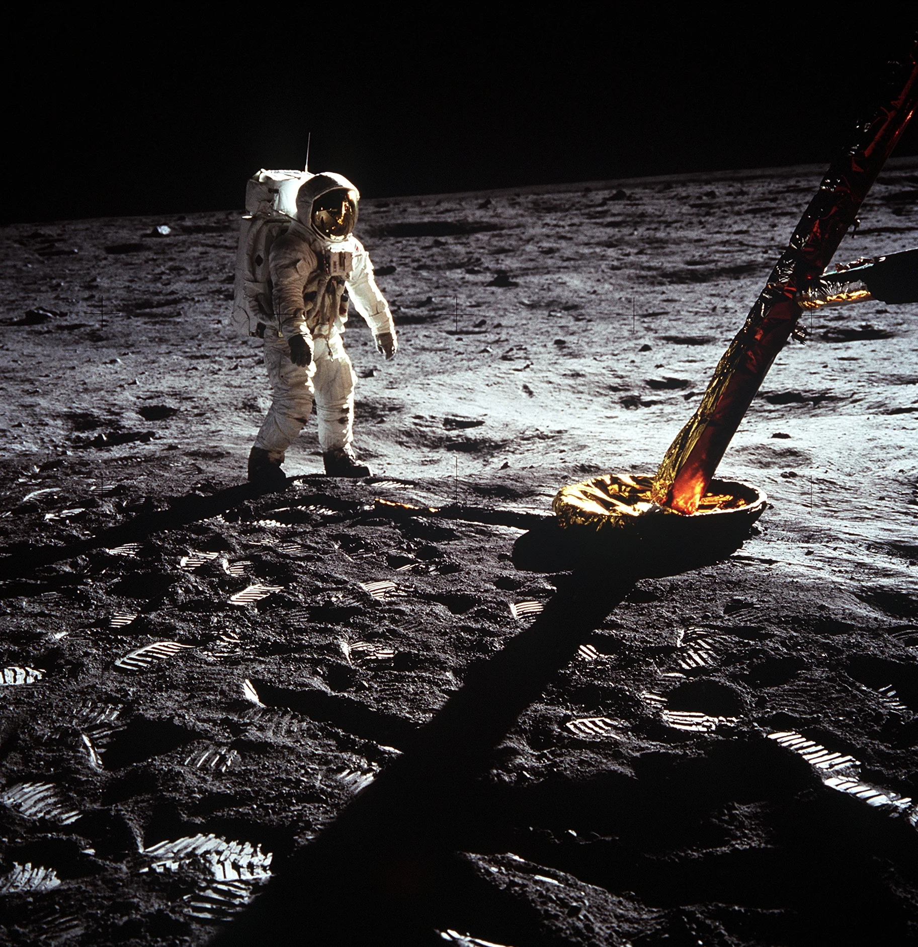 Our theme this summer is to celebrate the 50th anniversary of the Moon Landing!