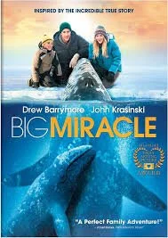 Big Miracle