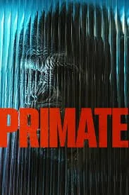 Primate